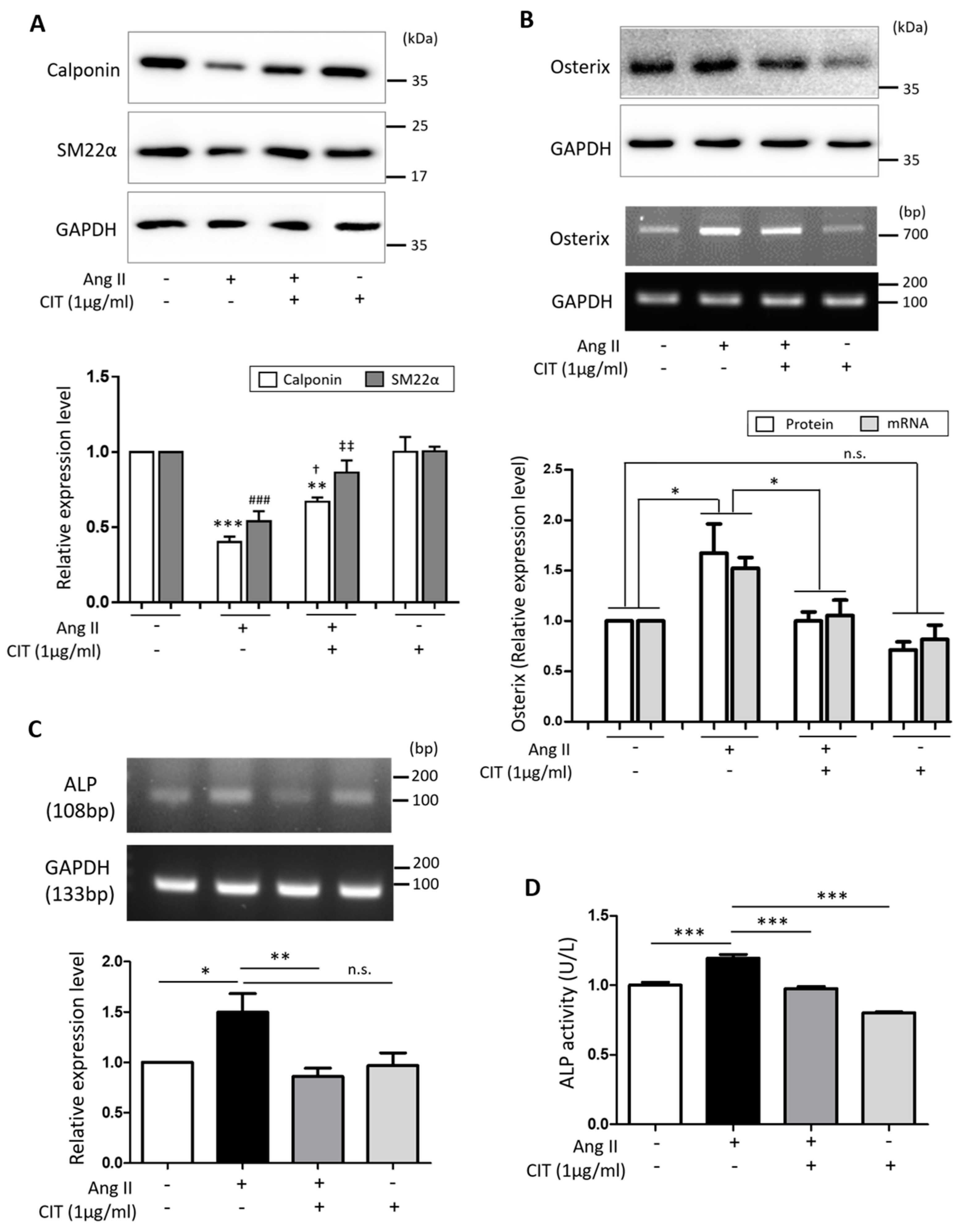Molecules 28 01693 g005
