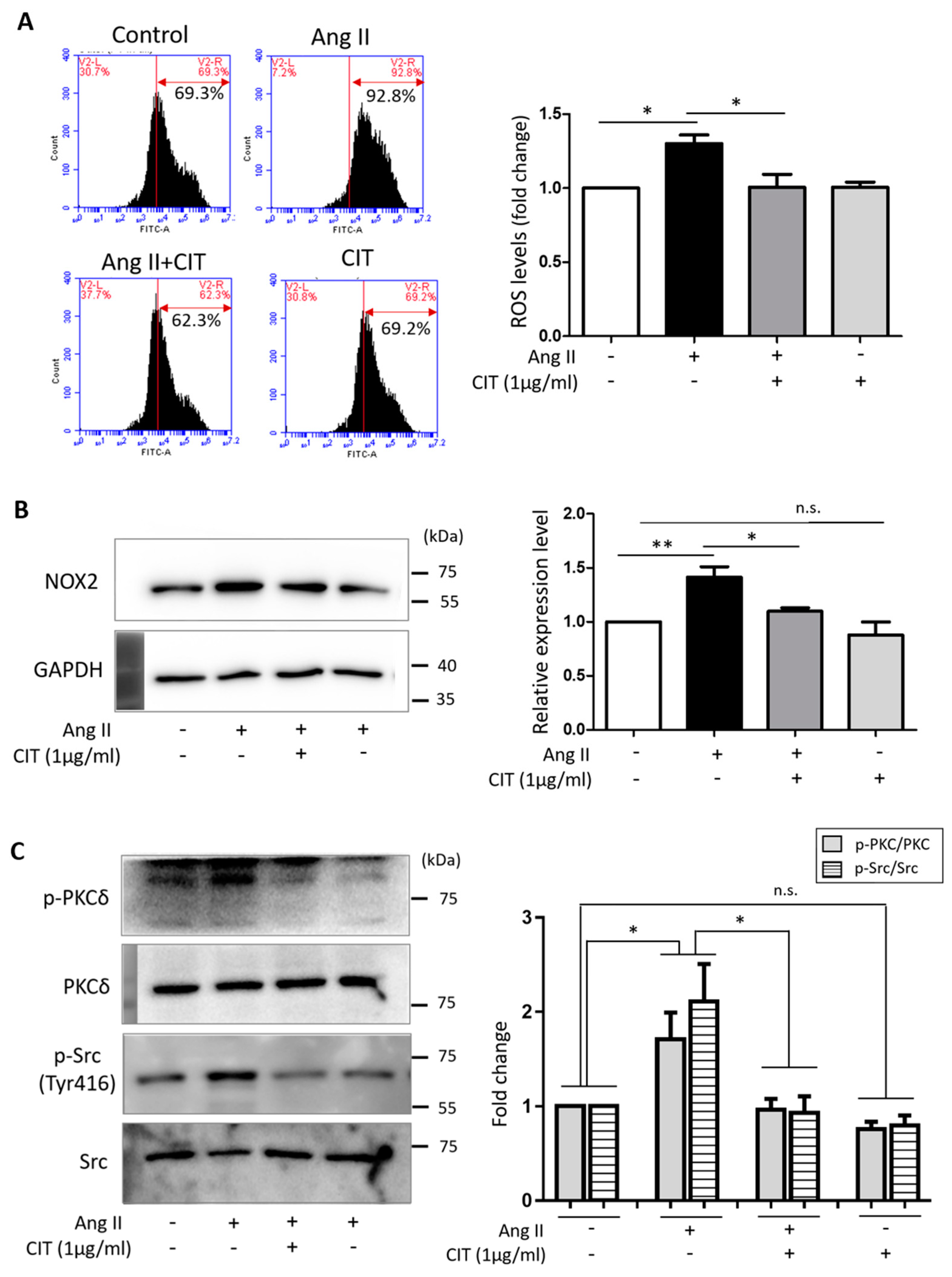 Molecules 28 01693 g006