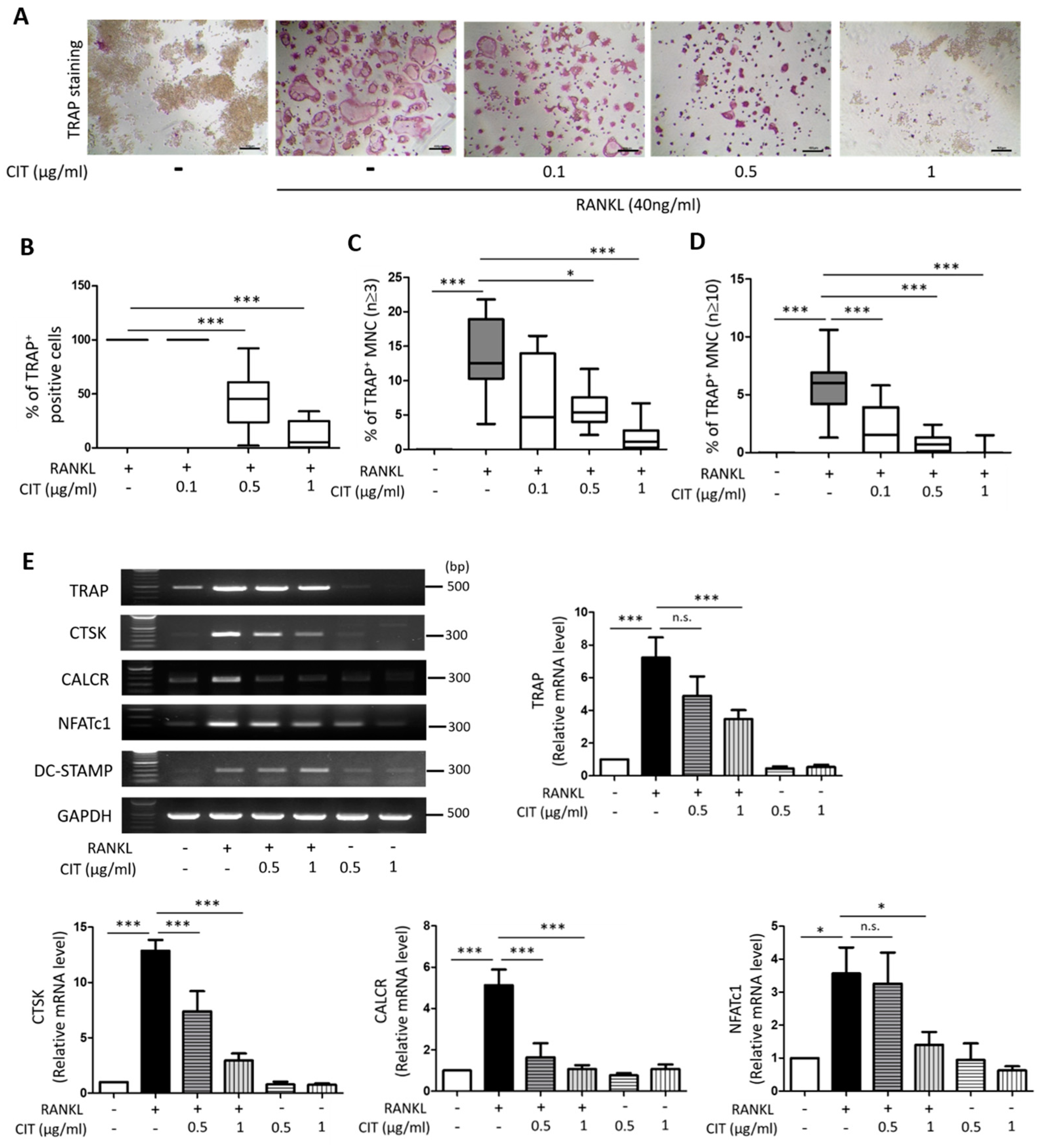 Molecules 28 01693 g009