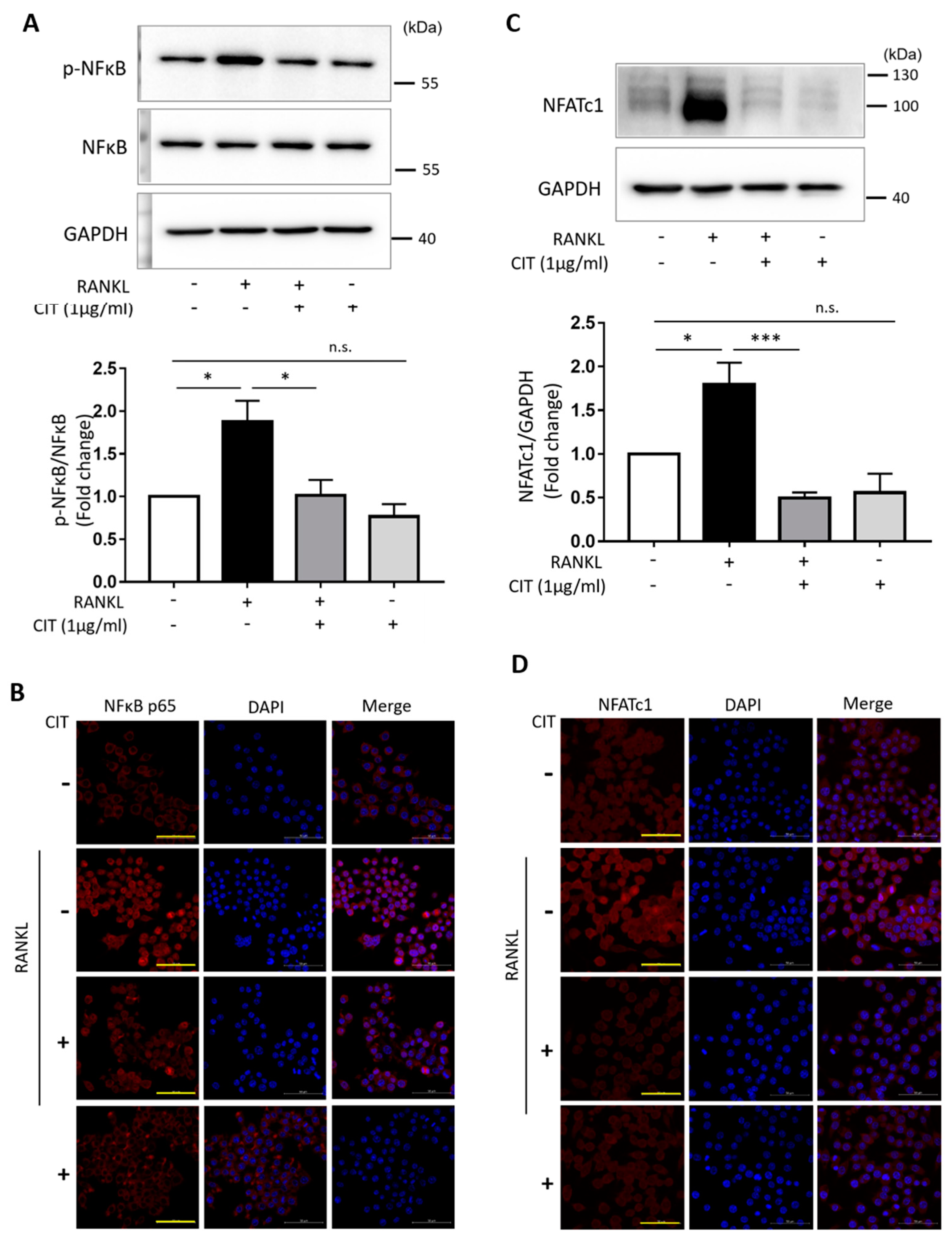 Molecules 28 01693 g010