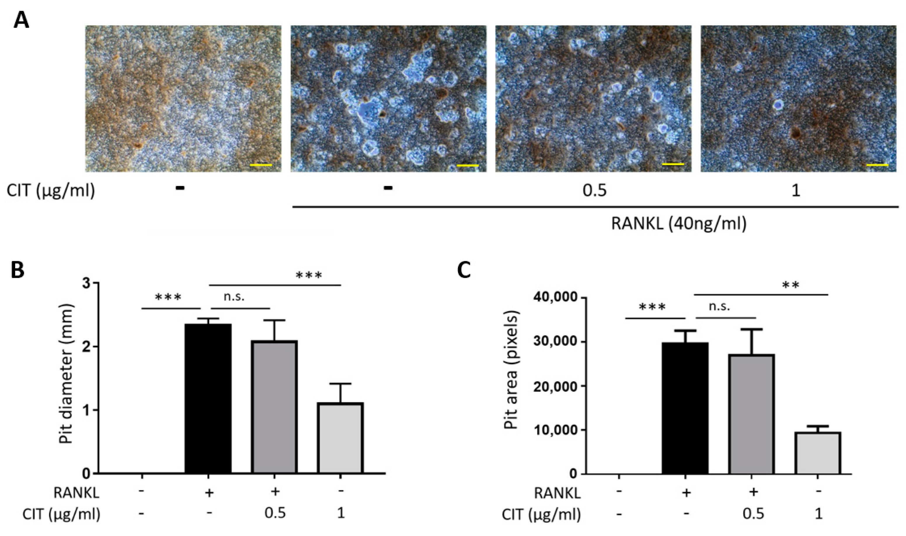 Molecules 28 01693 g011