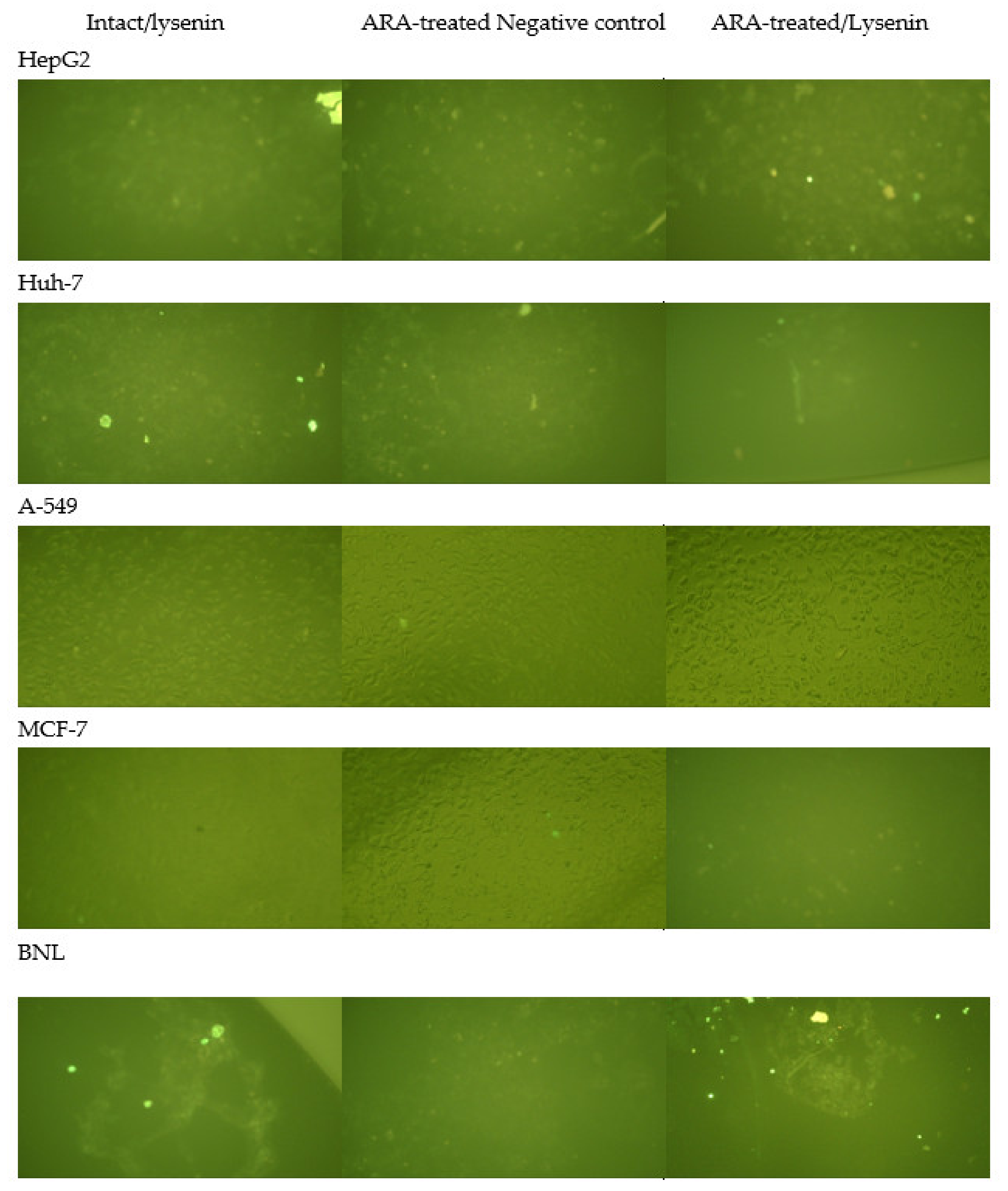 Molecules 28 01727 g002 Molecules 28 01727 g002