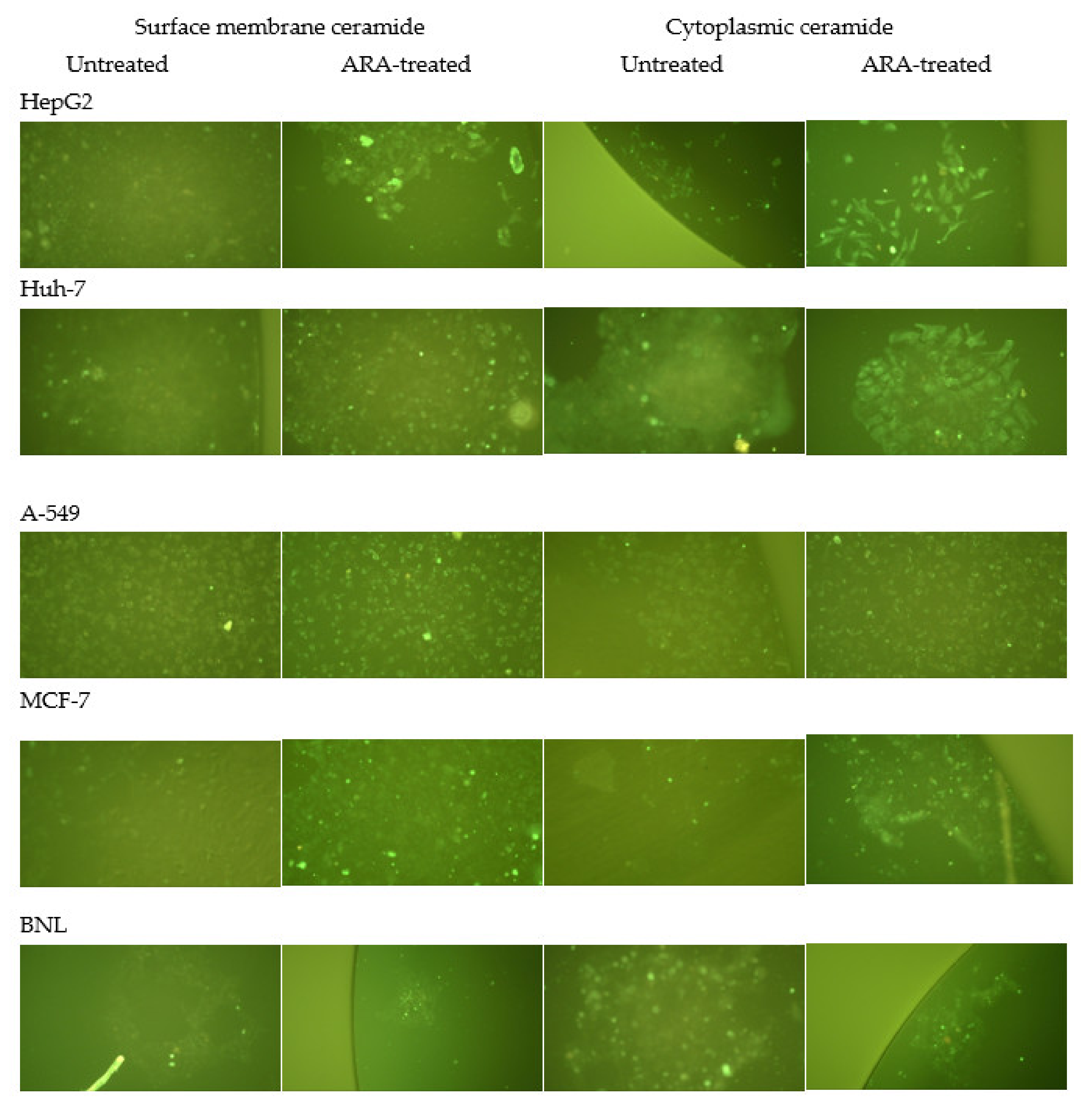 Molecules 28 01727 g006 Molecules 28 01727 g006