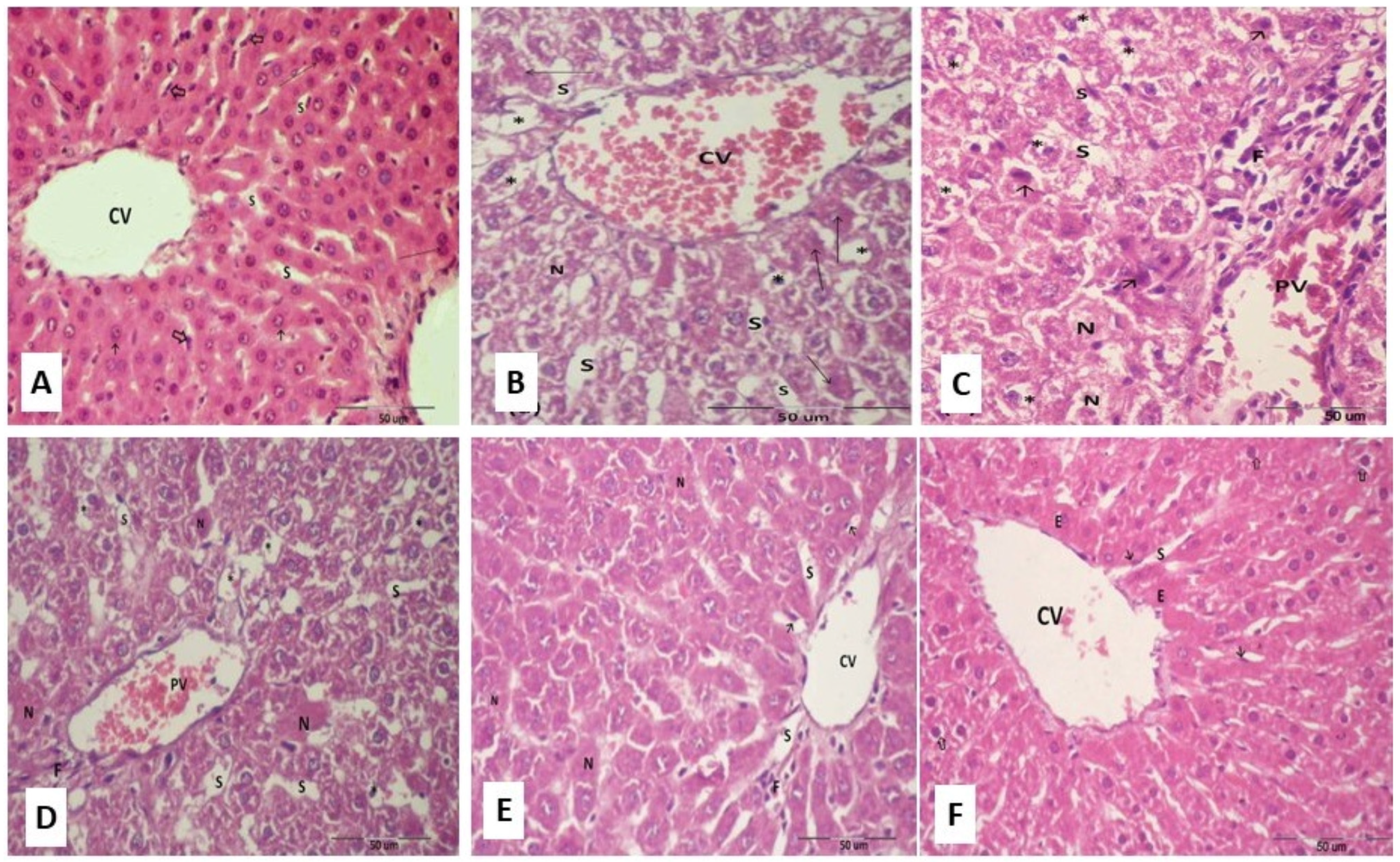 Molecules 28 01734 g008 Molecules 28 01734 g008