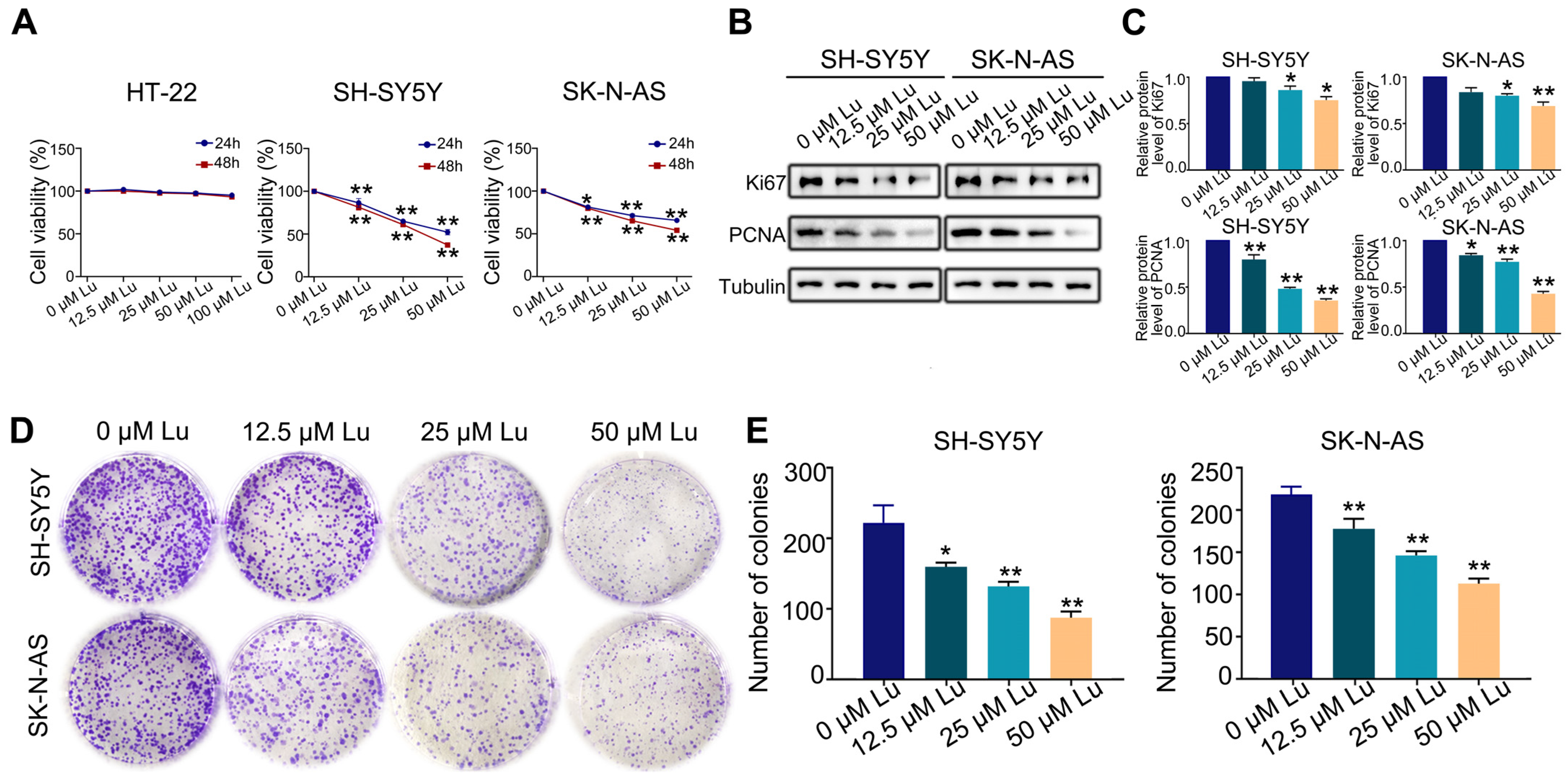 Molecules 28 01748 g001