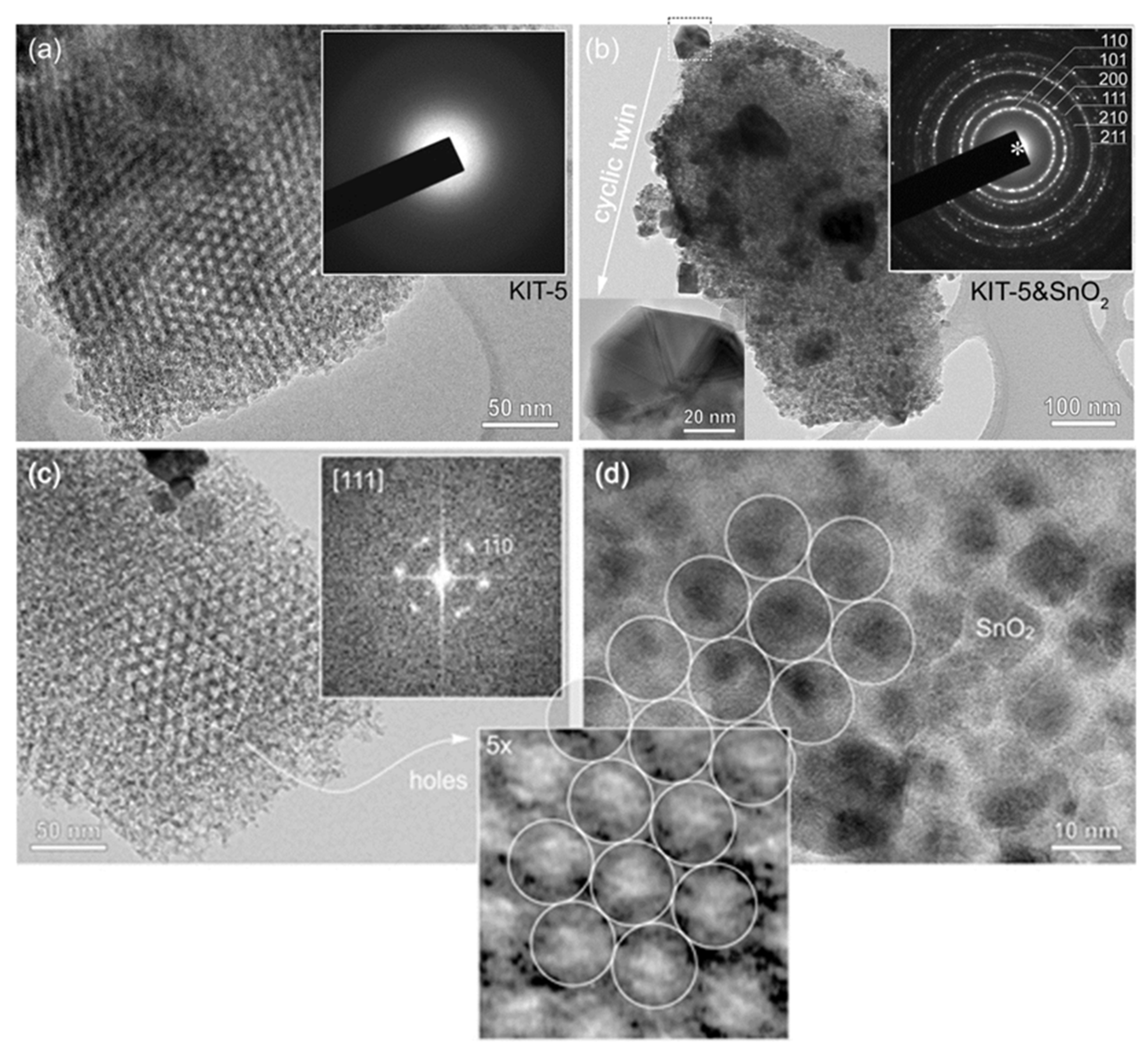 Molecules 28 01754 g001