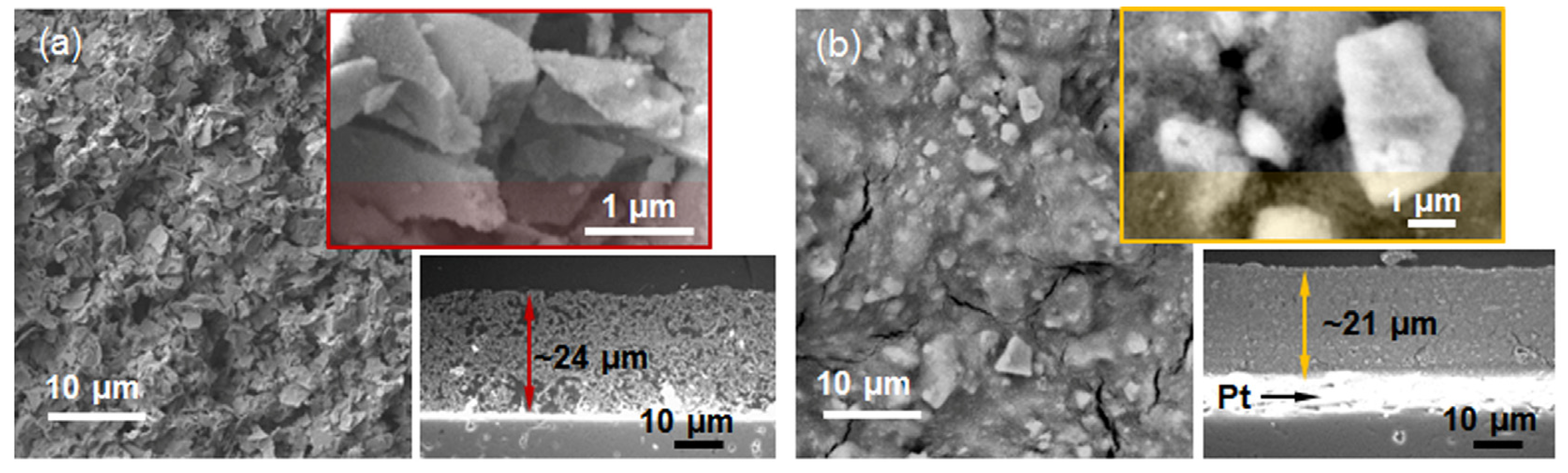 Molecules 28 01754 g005