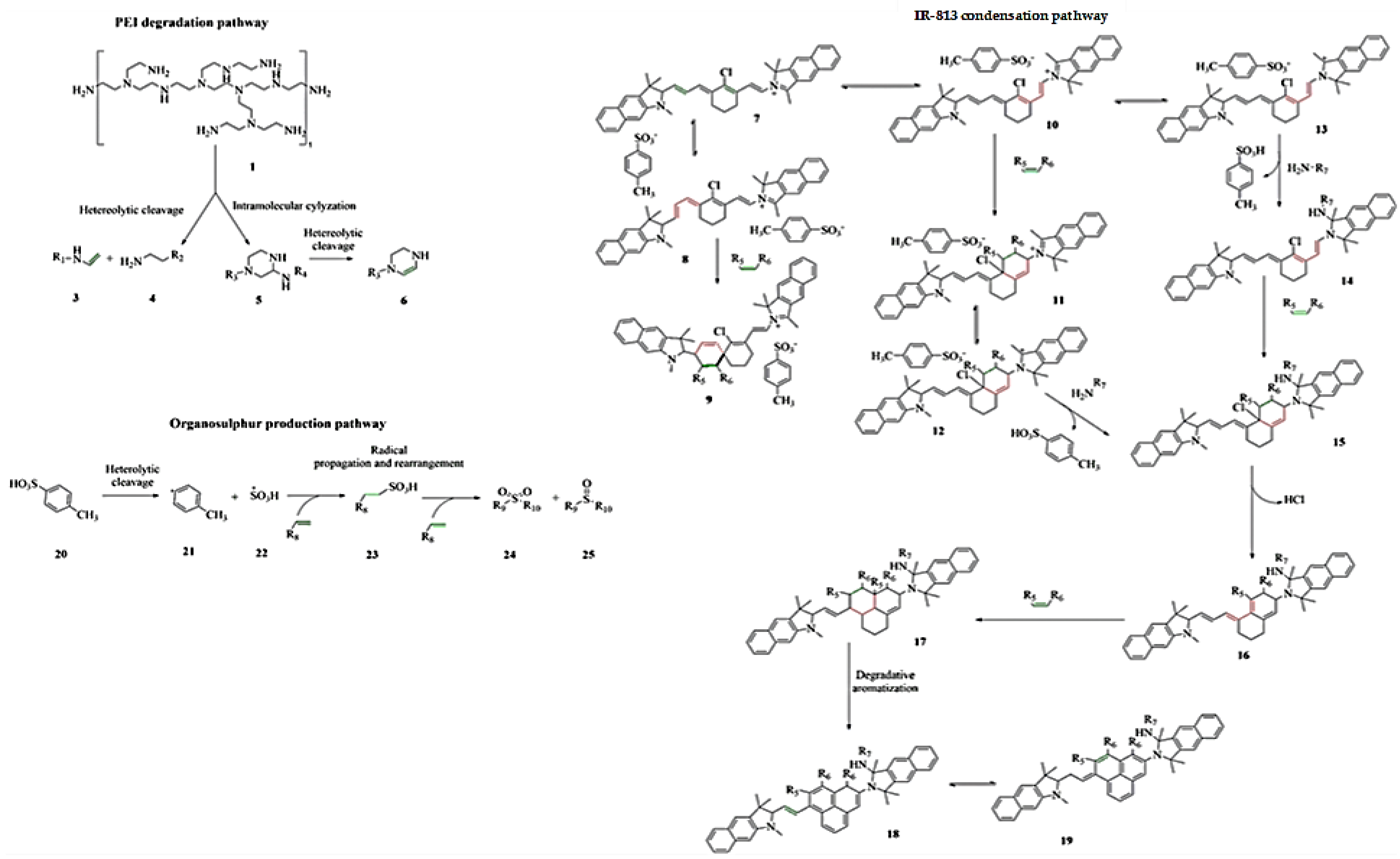 Molecules 28 01755 g007