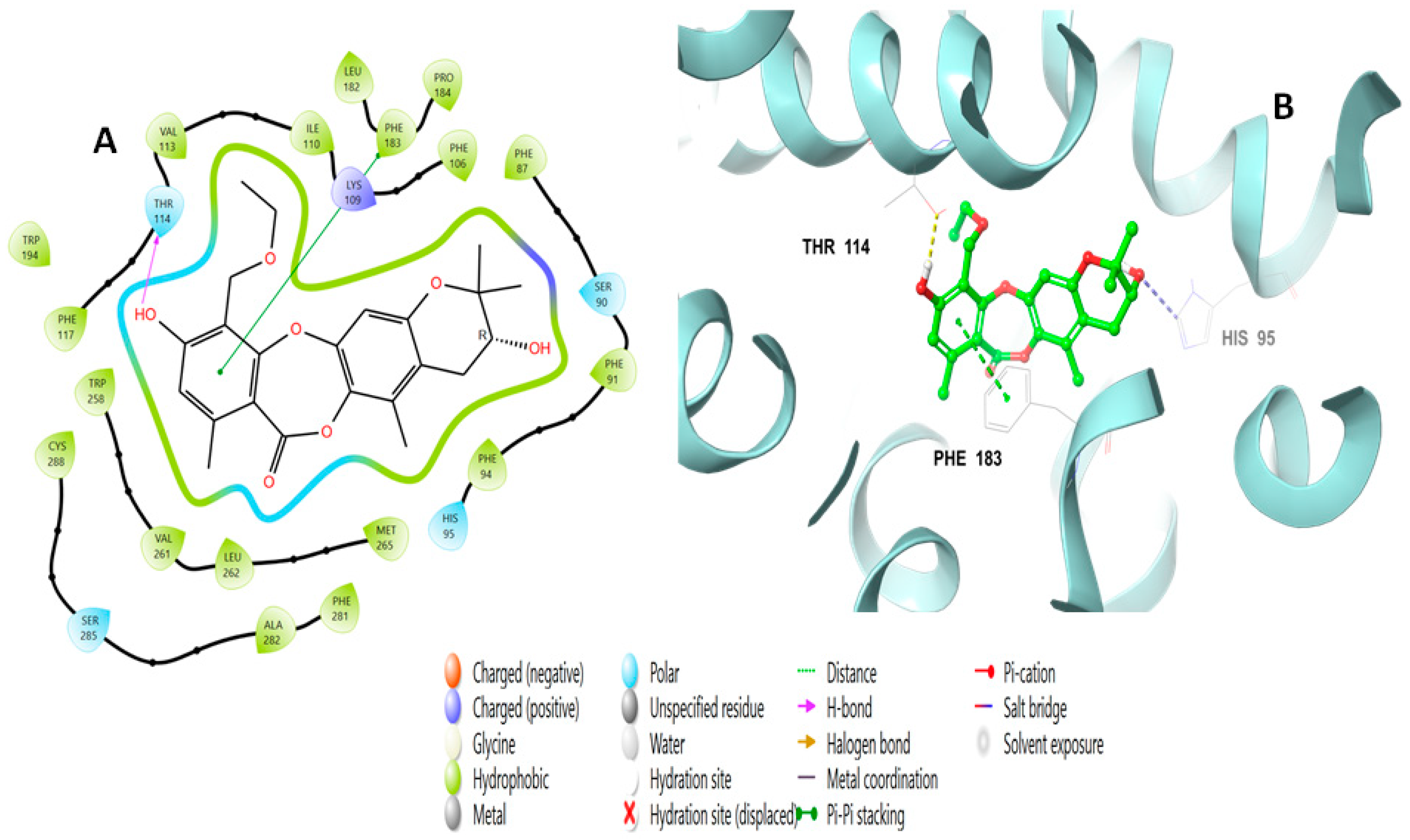 Molecules 28 01761 g006