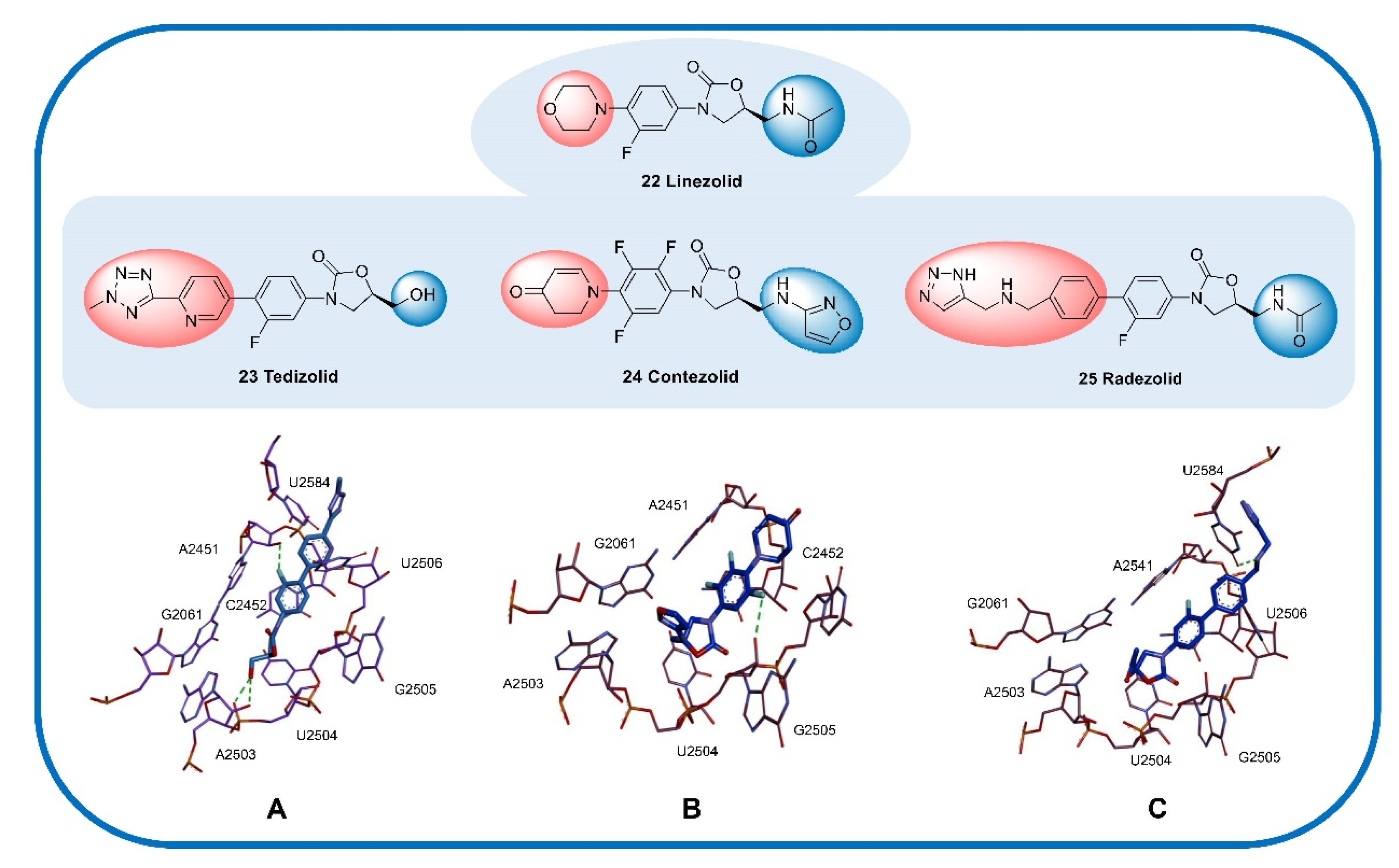 Molecules 28 01762 g008 Molecules 28 01762 g008