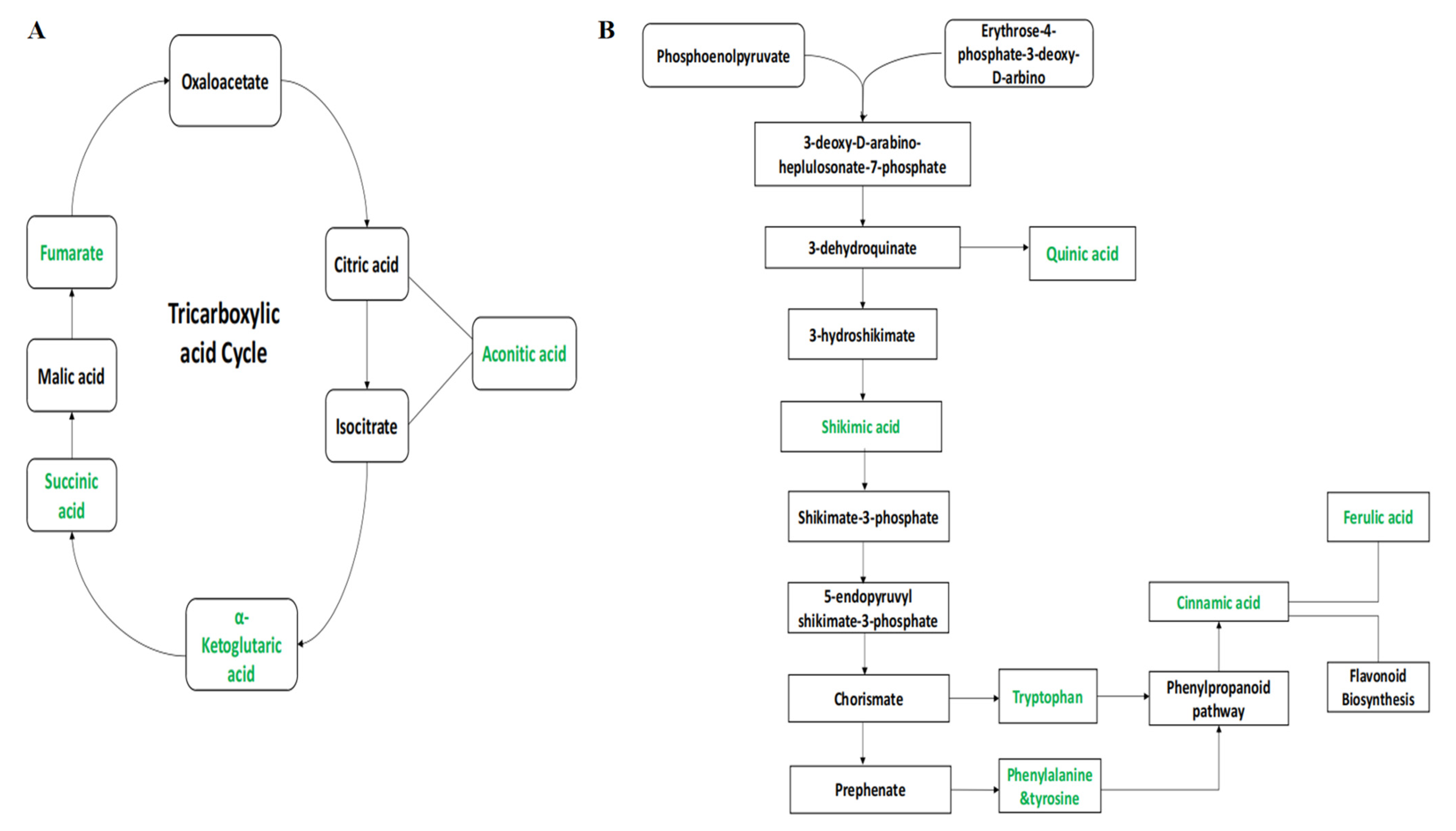 Molecules 28 01763 g007 Molecules 28 01763 g007