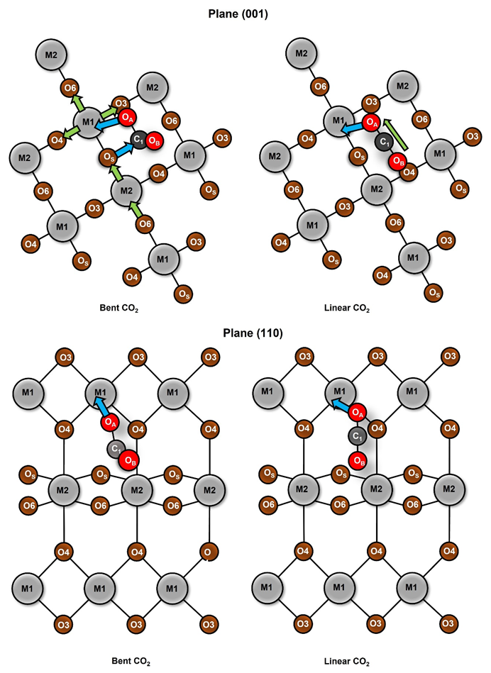 Molecules 28 01776 g009