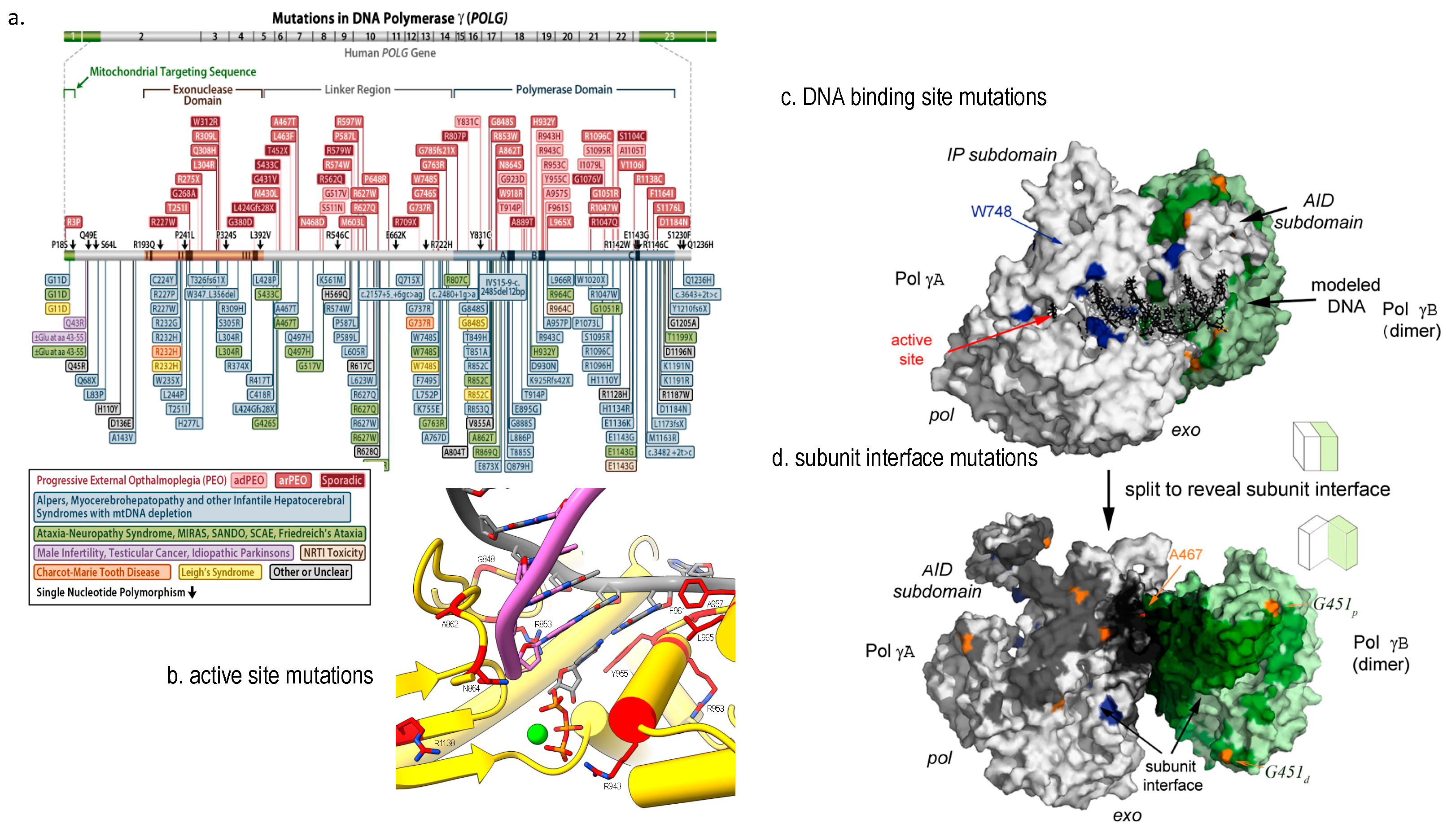 Molecules 28 01796 g004