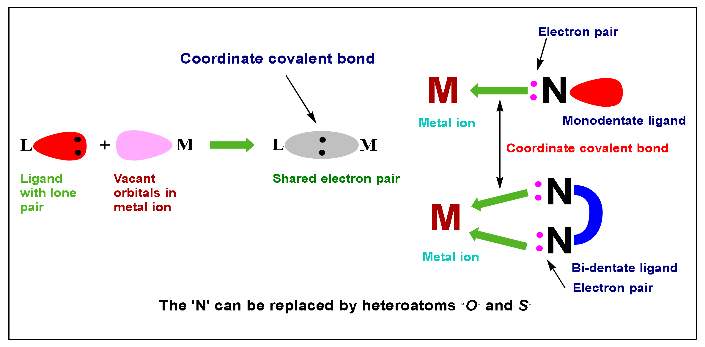 Molecules 28 01808 g002 Molecules 28 01808 g002