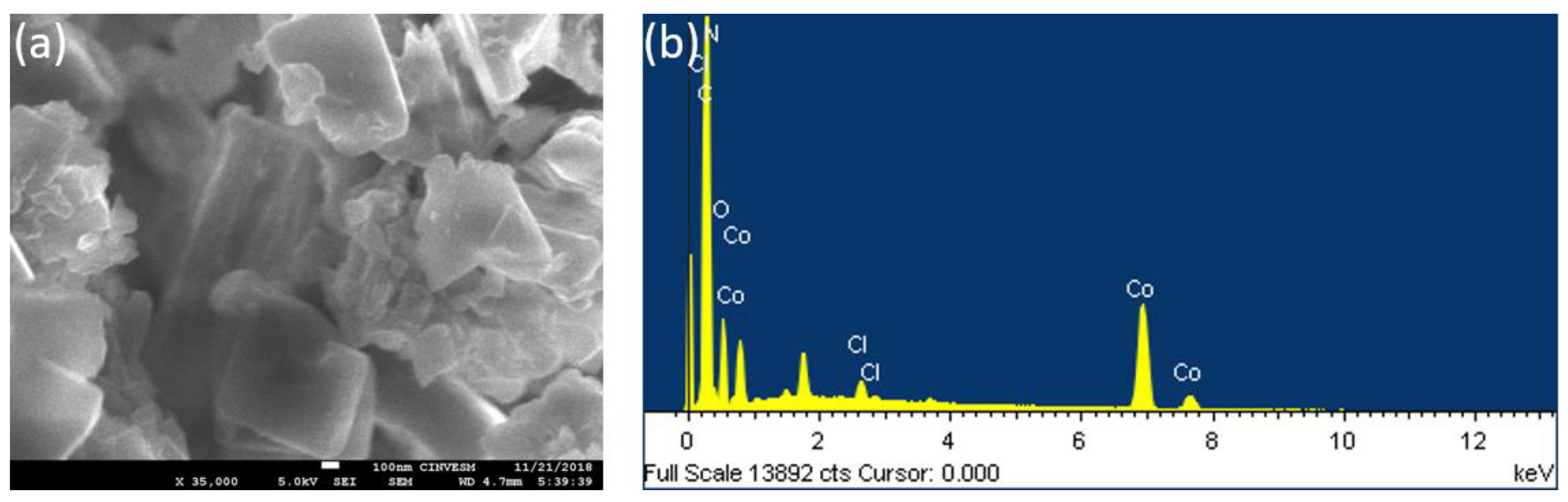 Molecules 28 01816 g005 Molecules 28 01816 g005