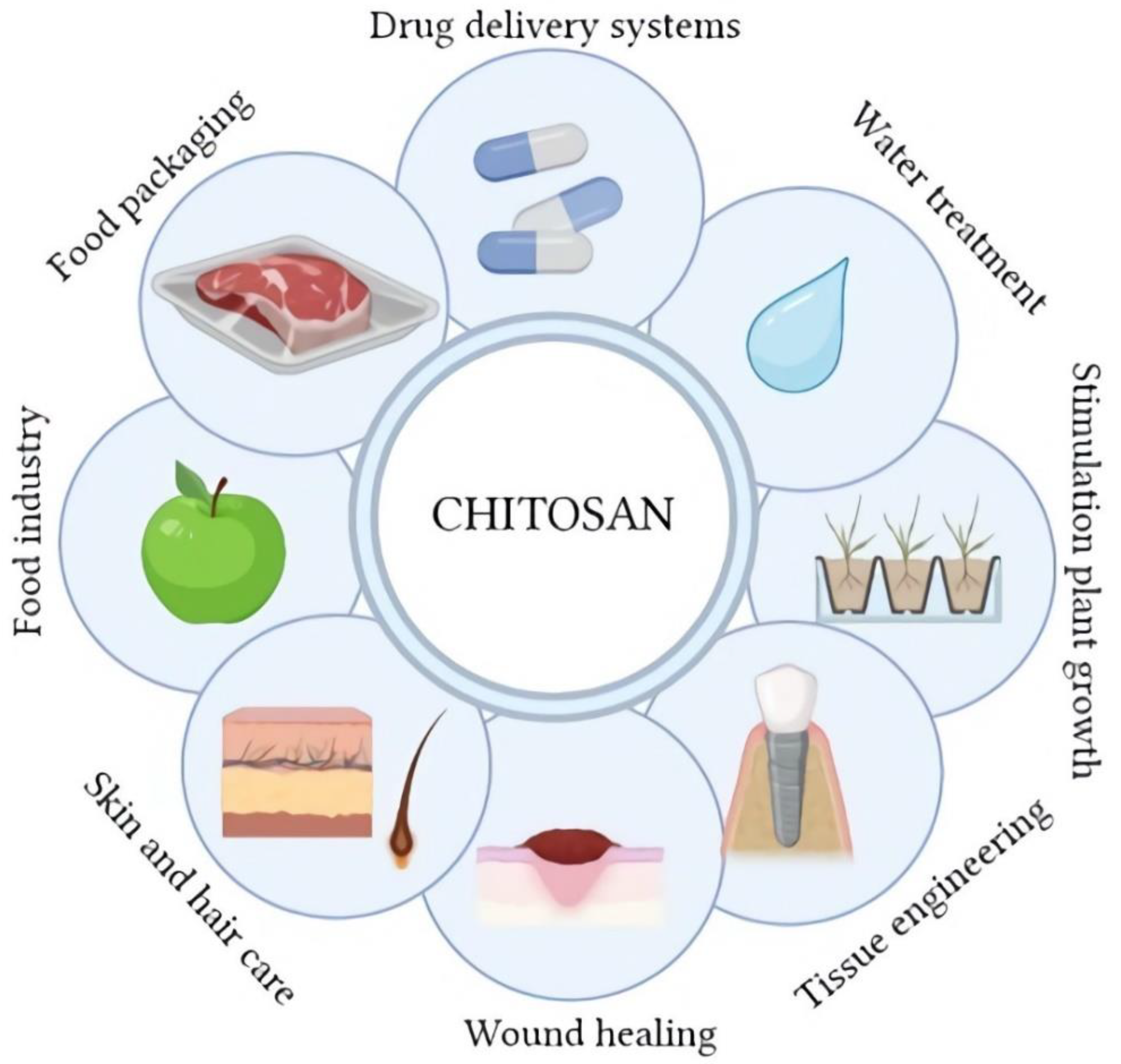Chitosan for cosmetic products