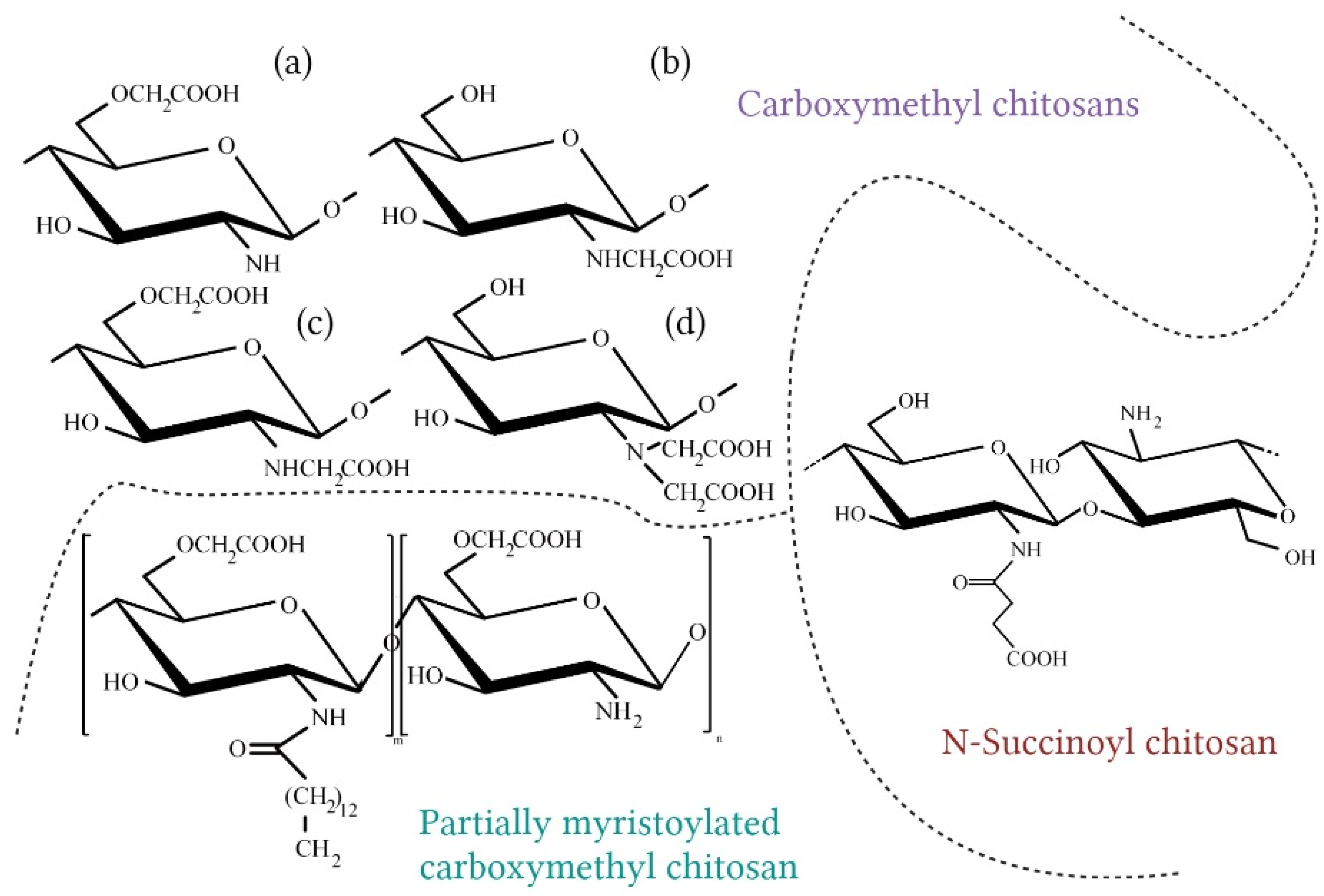 Molecules 28 01817 g007 Molecules 28 01817 g007