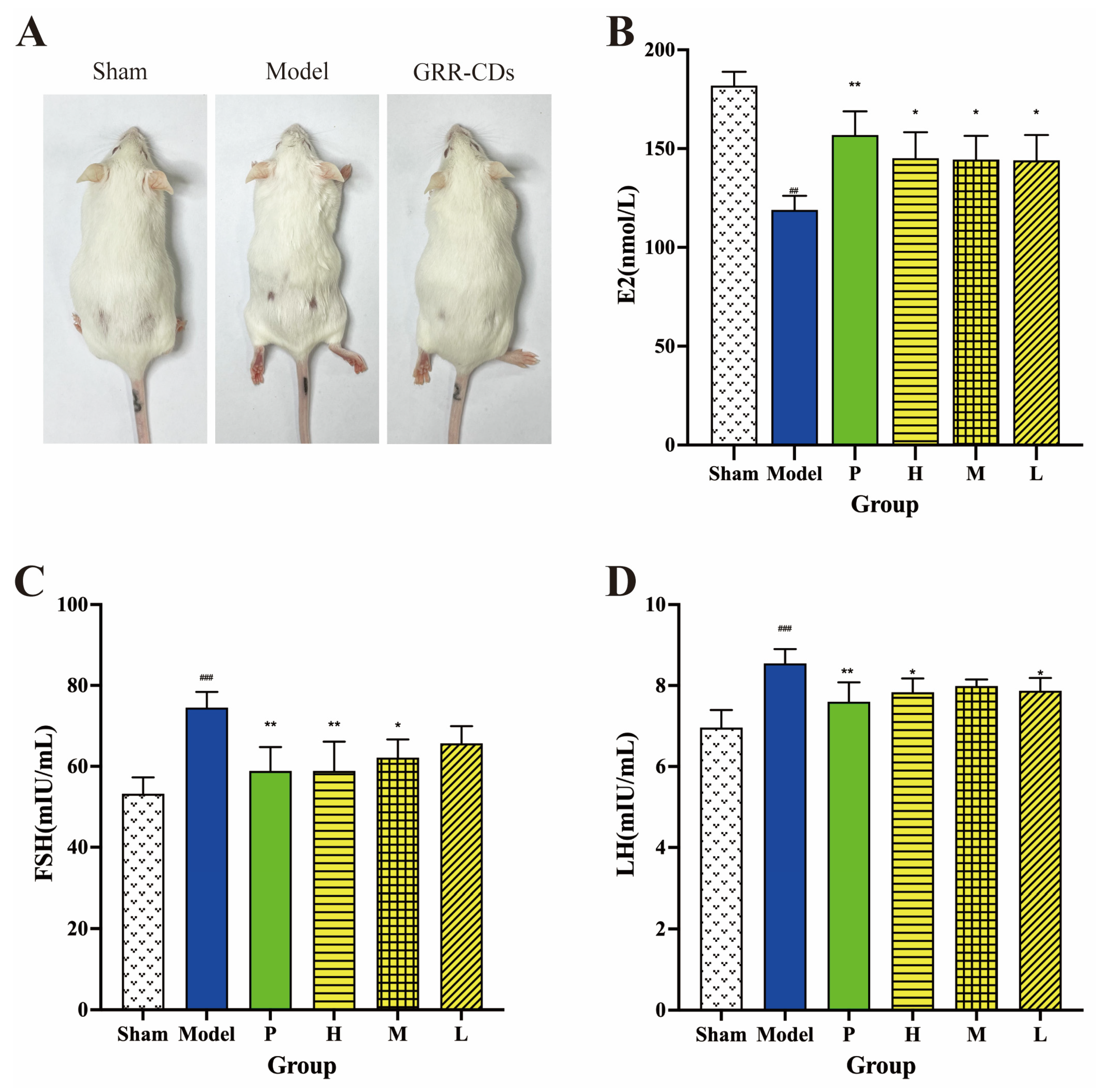 Molecules 28 01830 g006