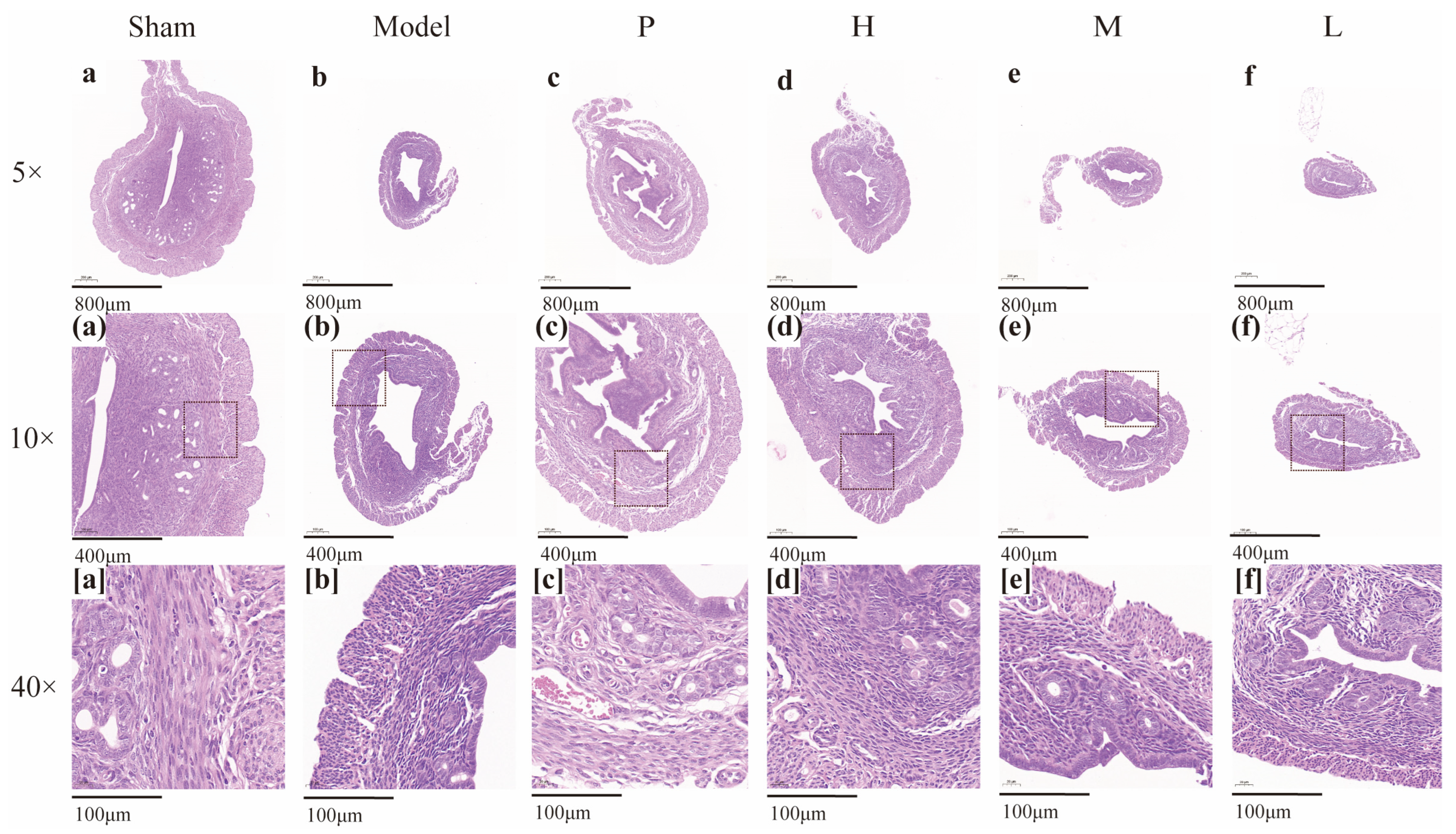 Molecules 28 01830 g008