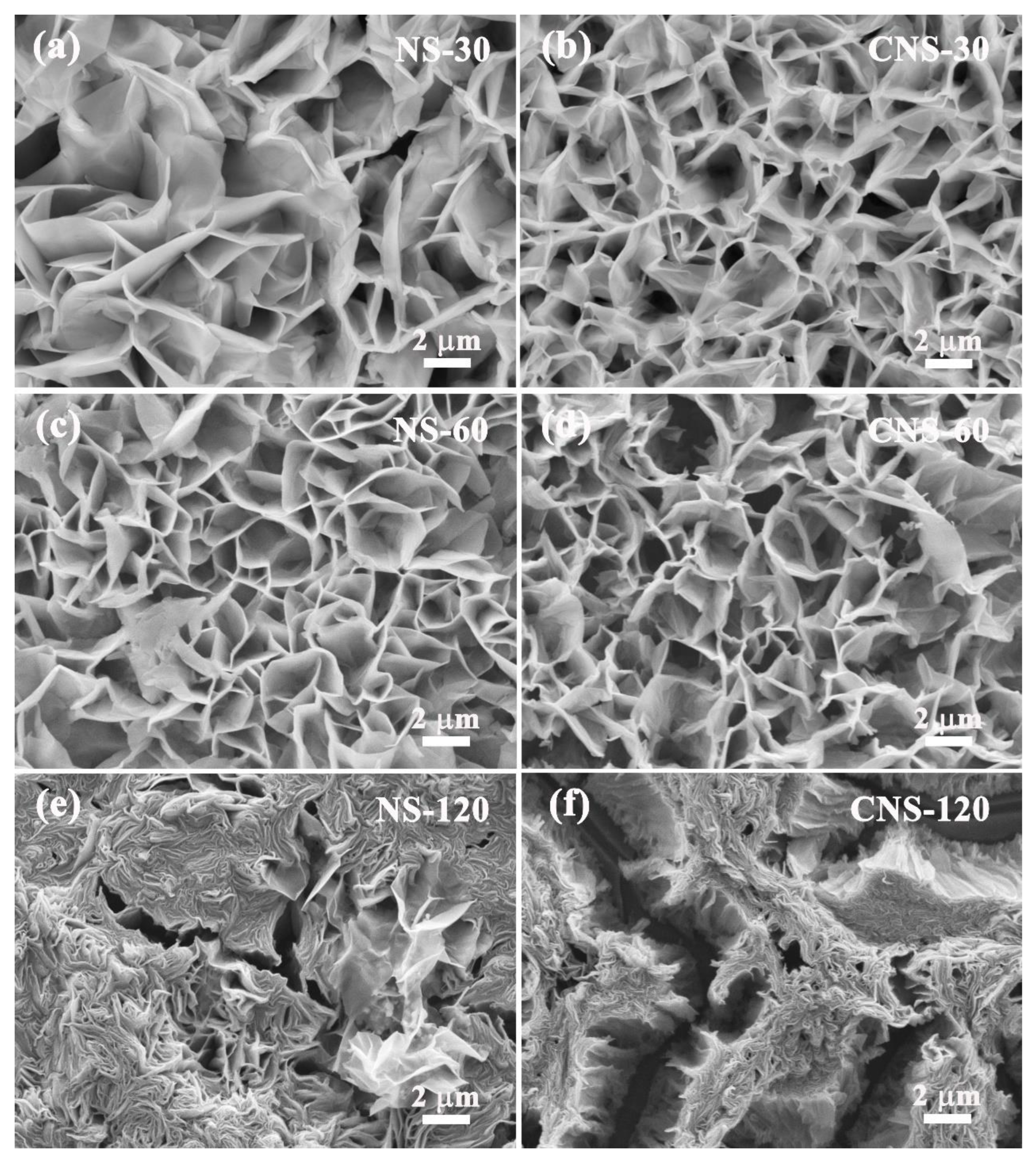 Molecules 28 01831 g002 Molecules 28 01831 g002