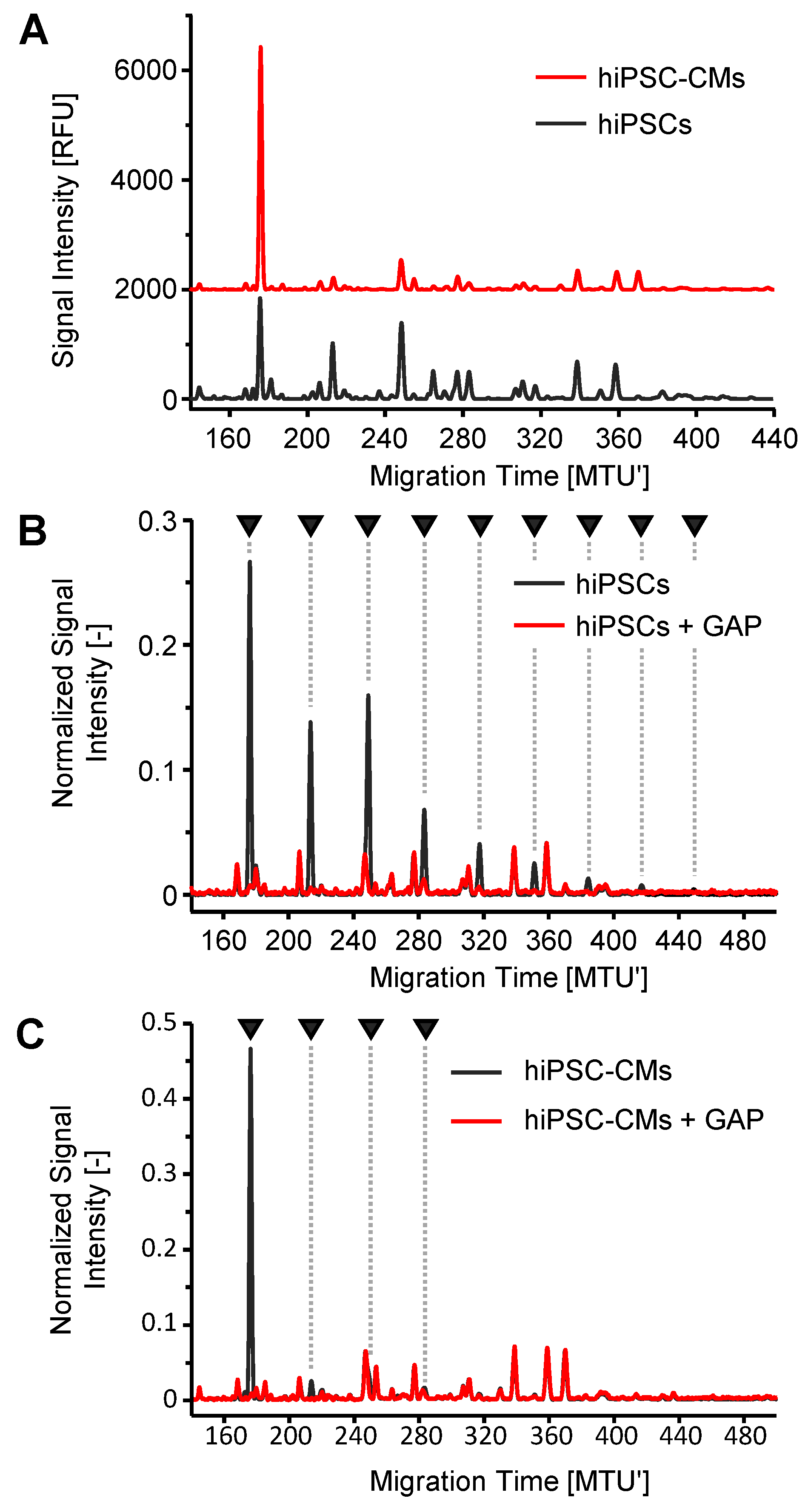 Molecules 28 01843 g005
