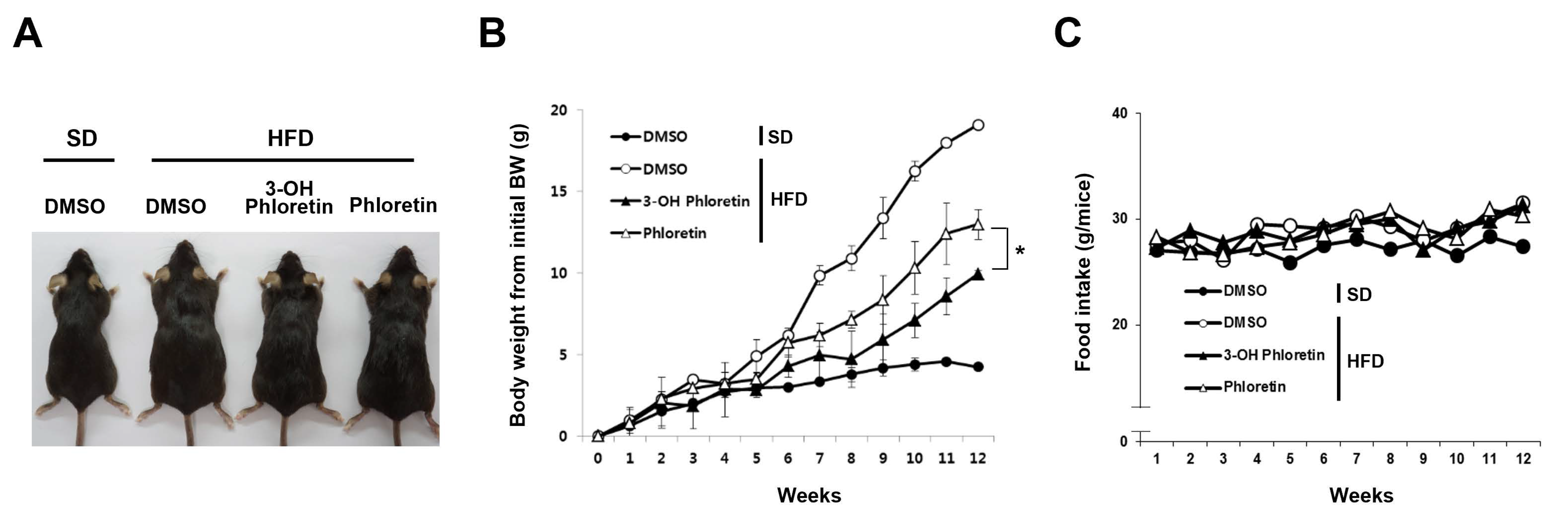 Molecules 28 01851 g001 Molecules 28 01851 g001