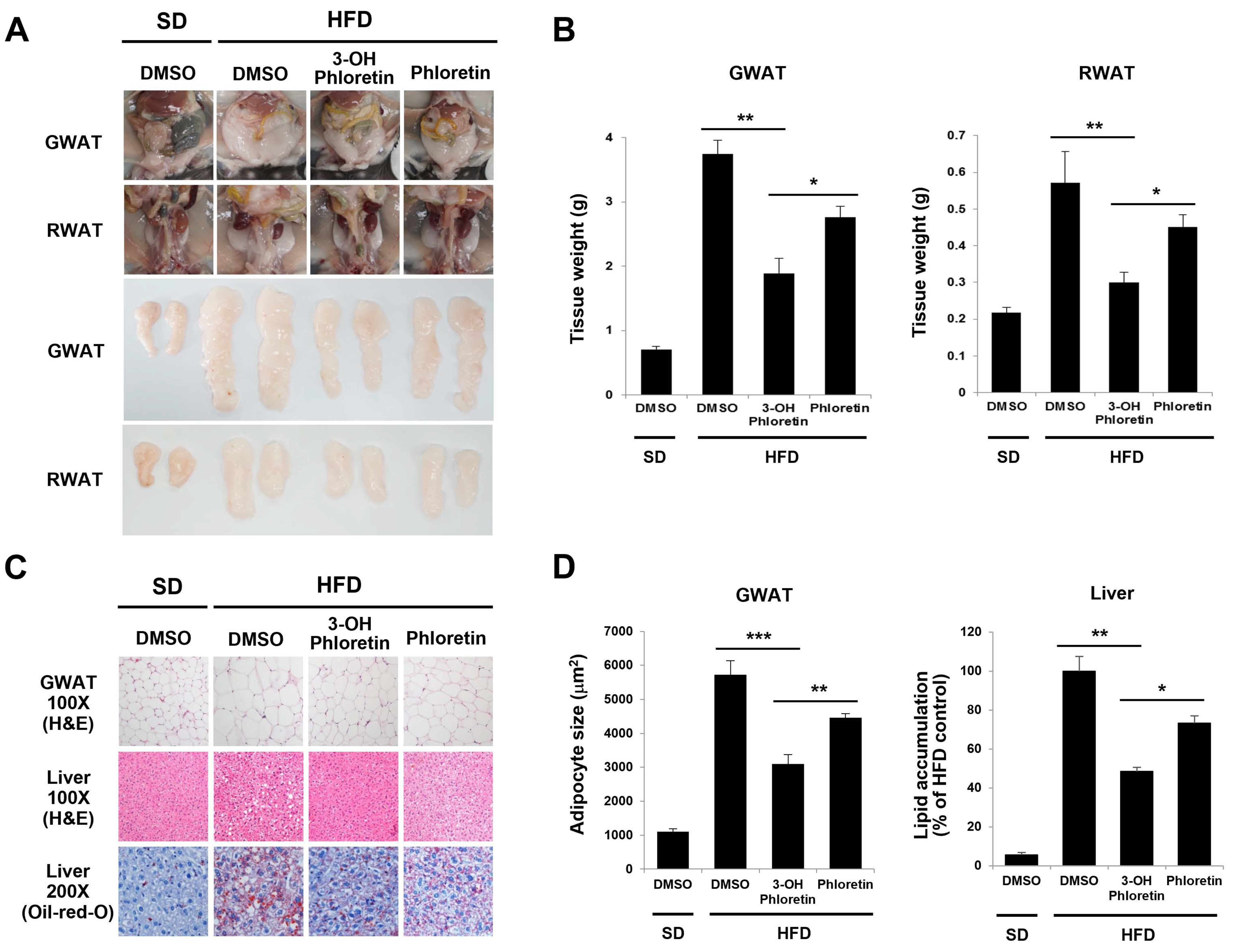 Molecules 28 01851 g002 Molecules 28 01851 g002