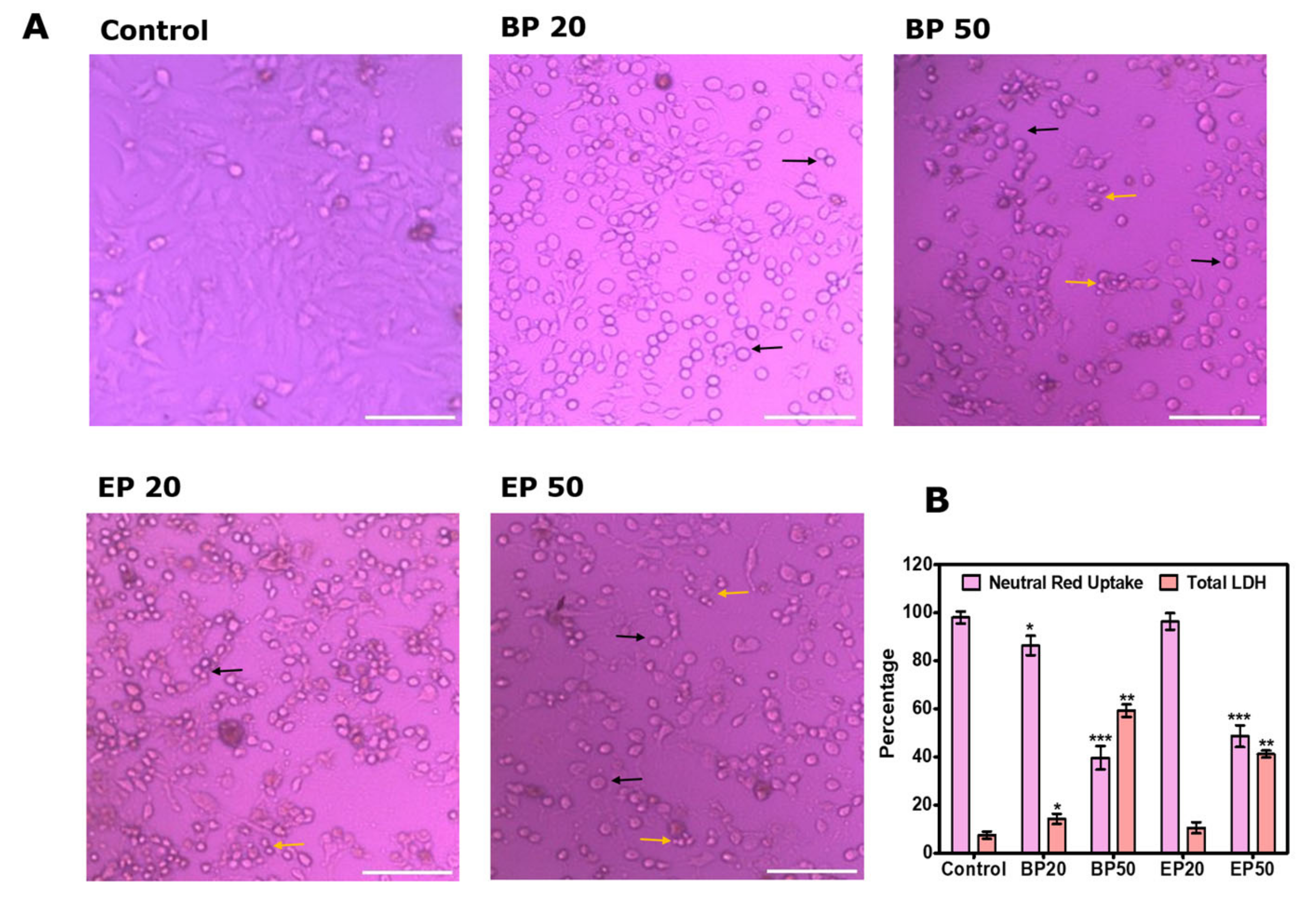 Molecules 28 01856 g003 Molecules 28 01856 g003