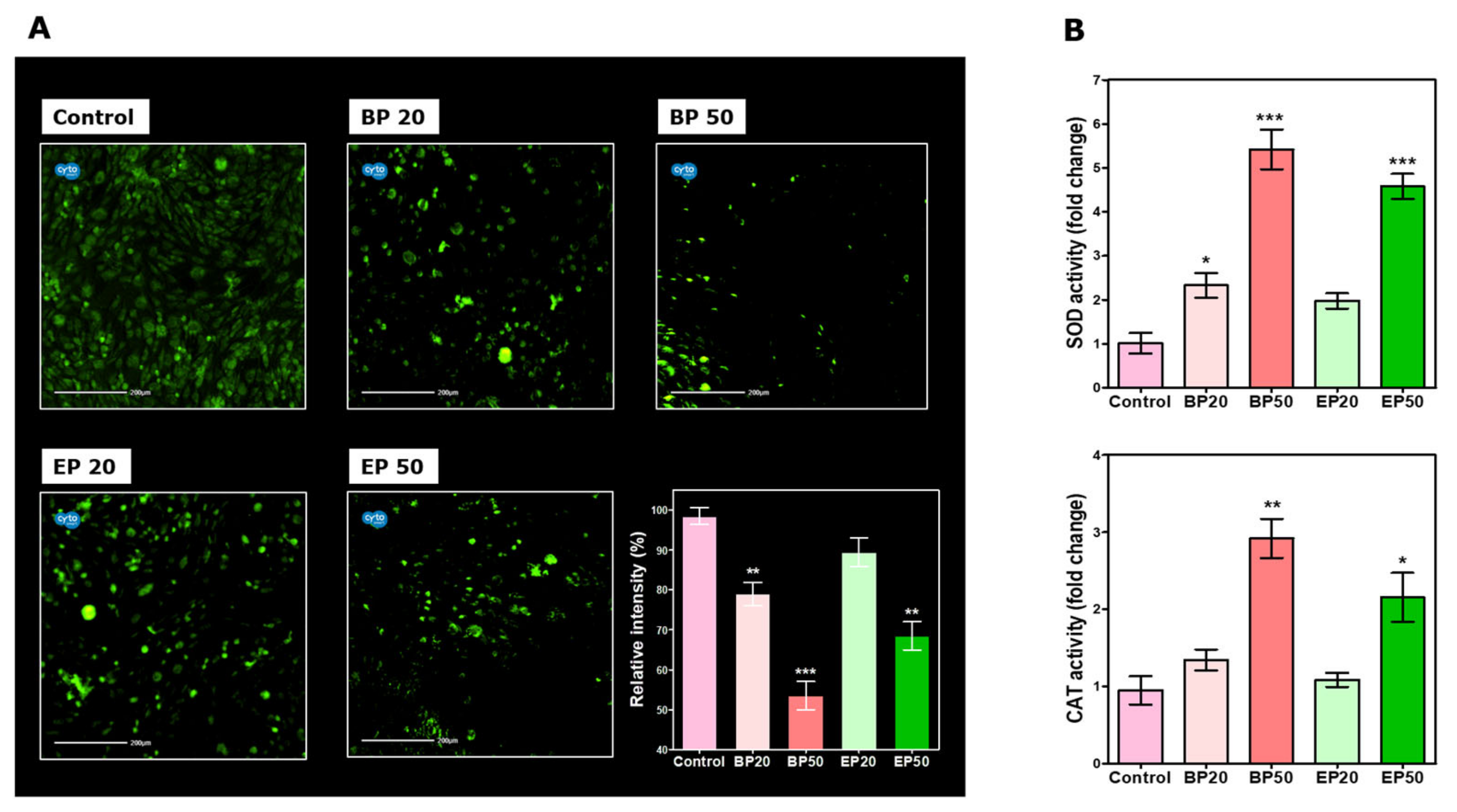 Molecules 28 01856 g004 Molecules 28 01856 g004