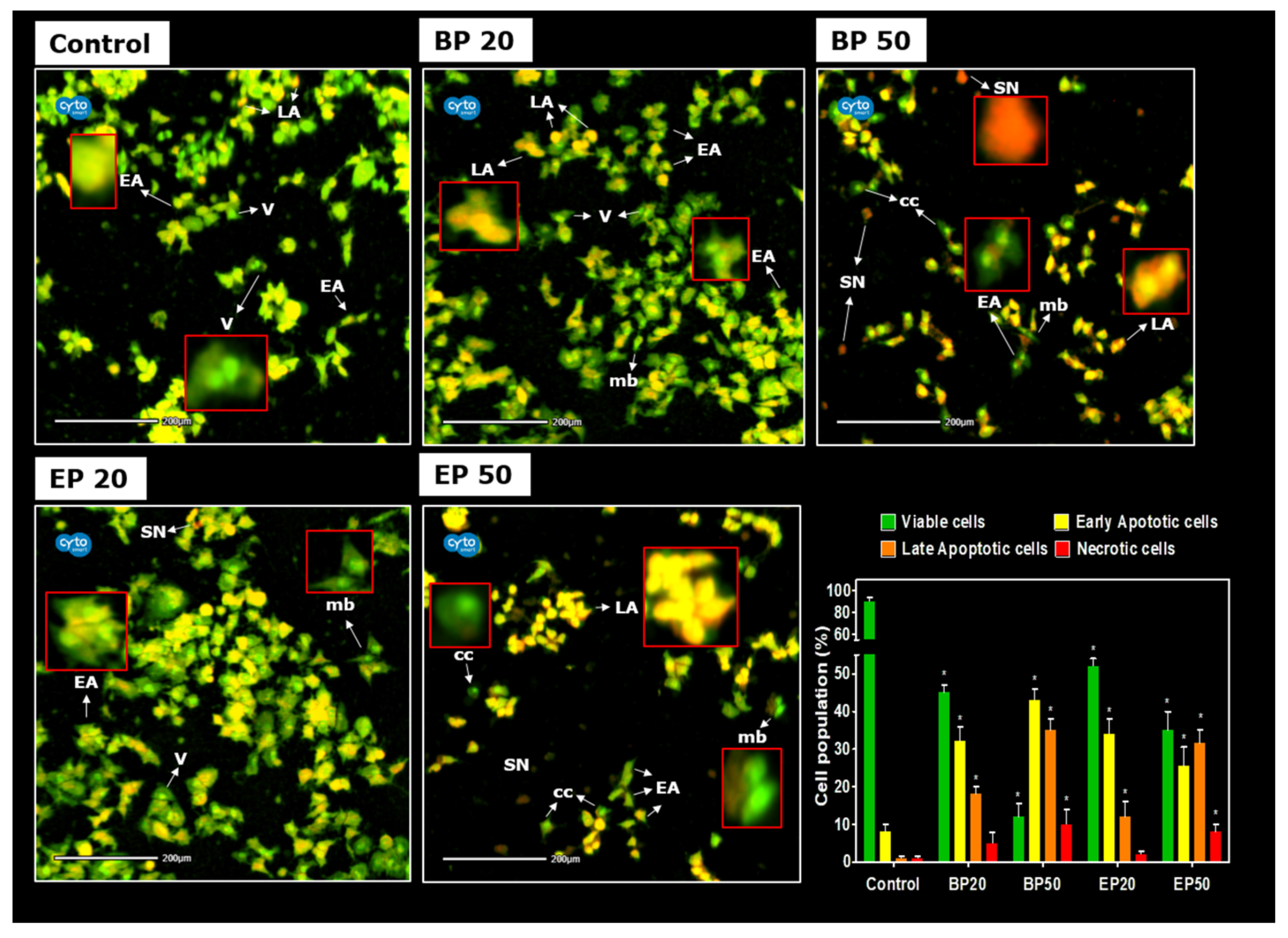 Molecules 28 01856 g005 Molecules 28 01856 g005
