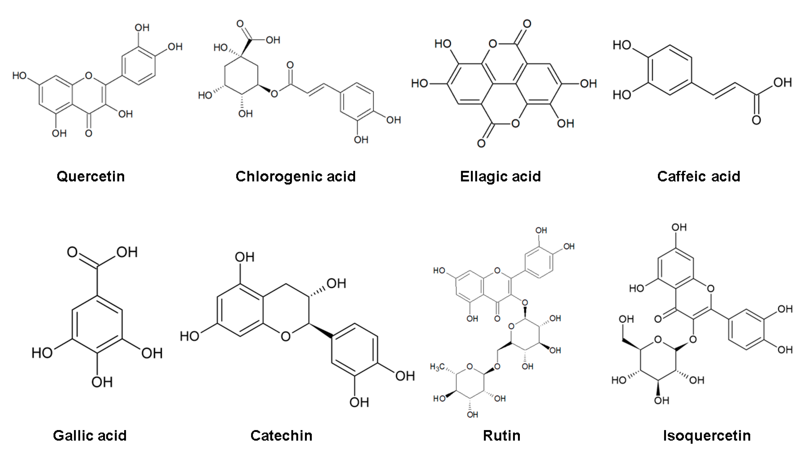 Molecules 28 01862 g001 Molecules 28 01862 g001