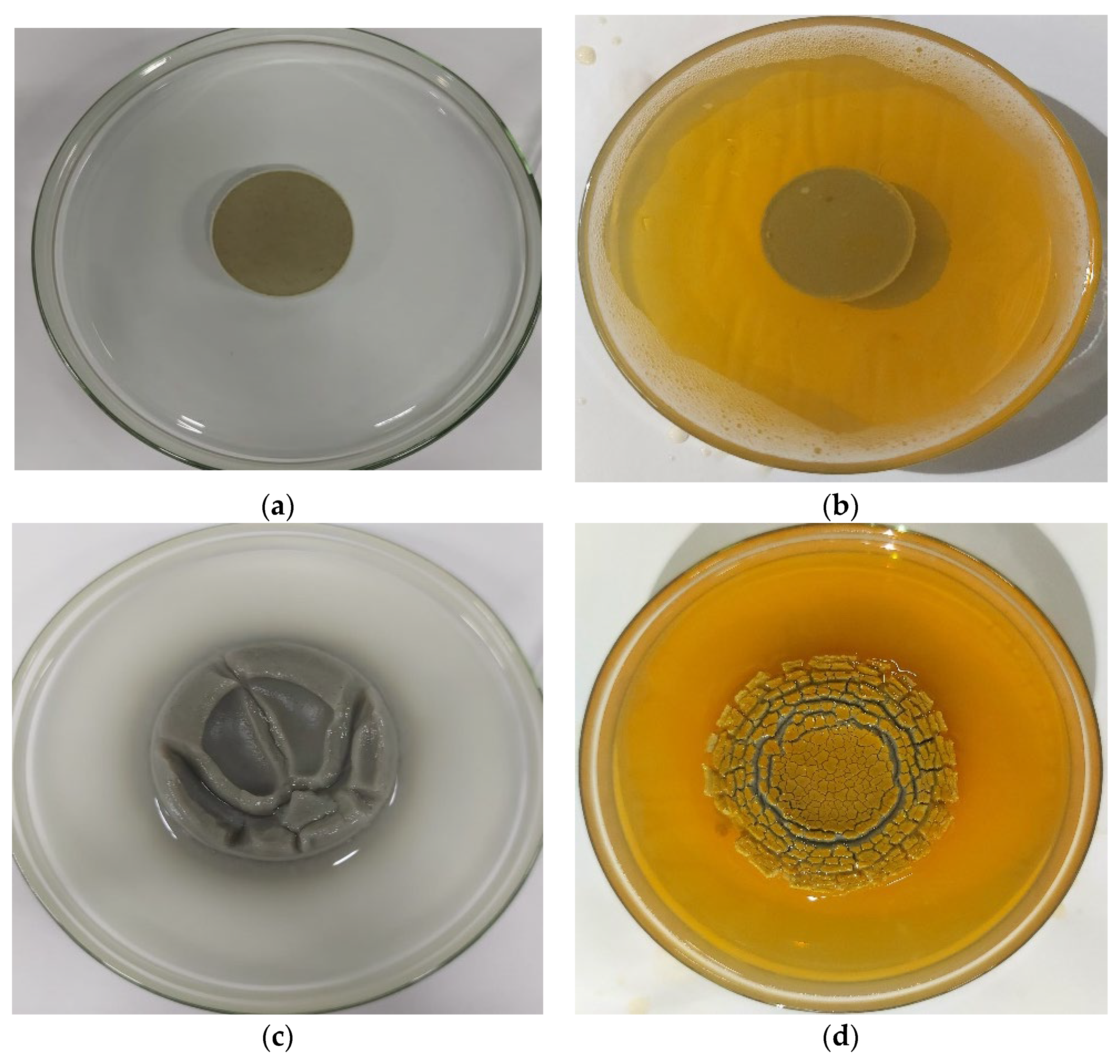 Molecules 28 01878 g007