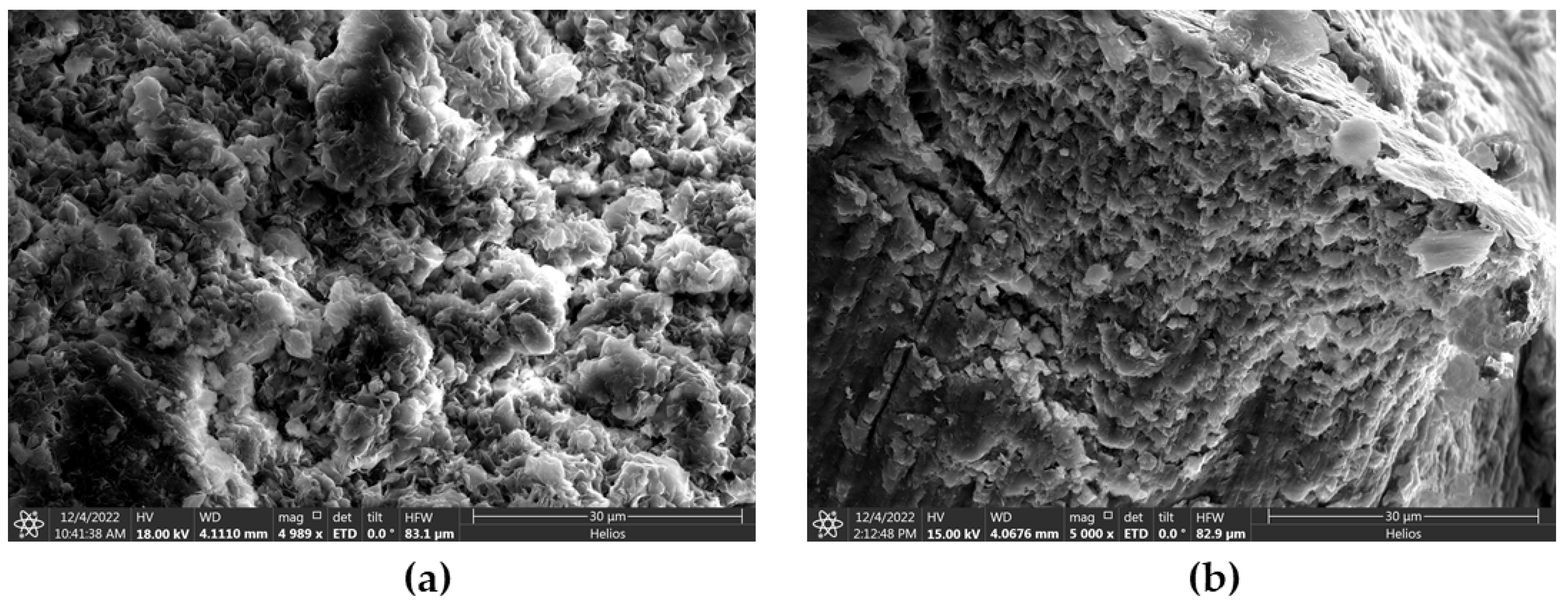 Molecules 28 01878 g013