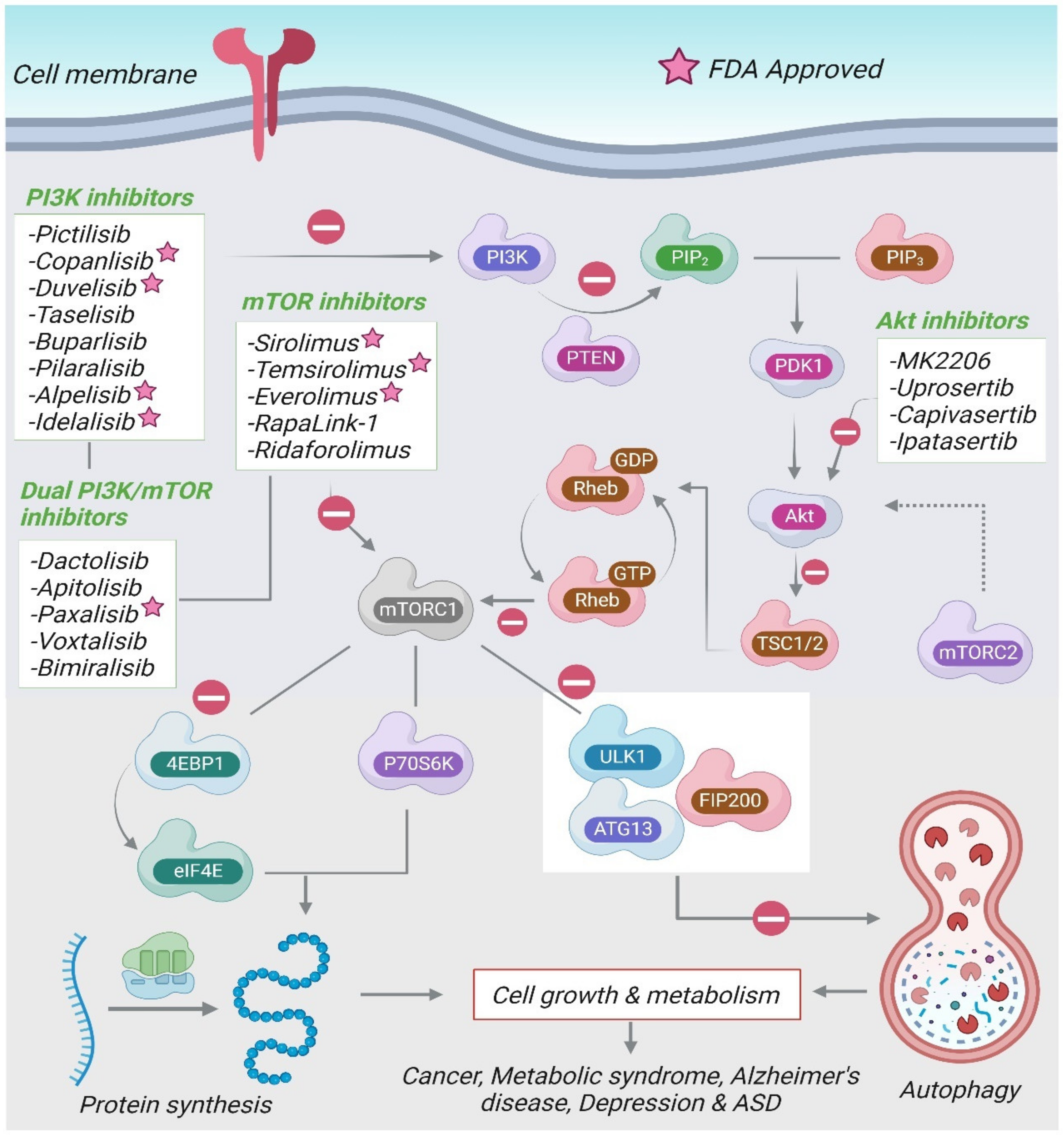 Molecules 28 01889 g003 Molecules 28 01889 g003