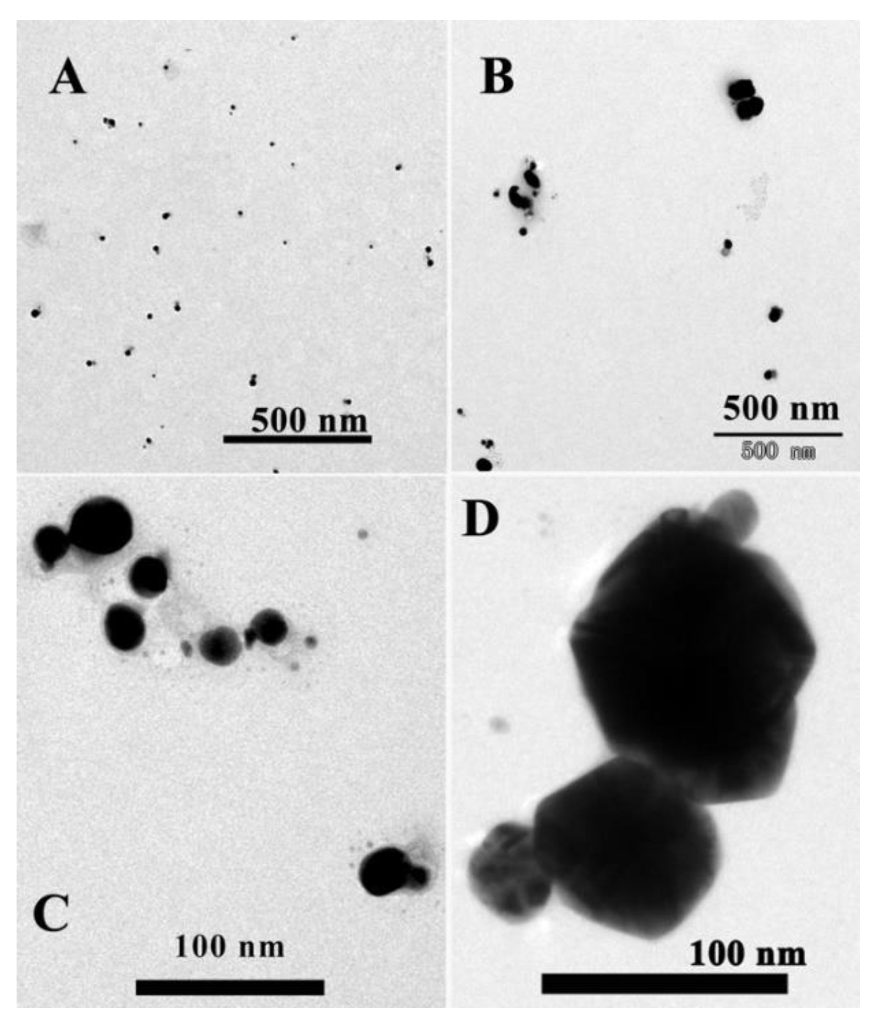 Molecules 28 01892 g001 Molecules 28 01892 g001