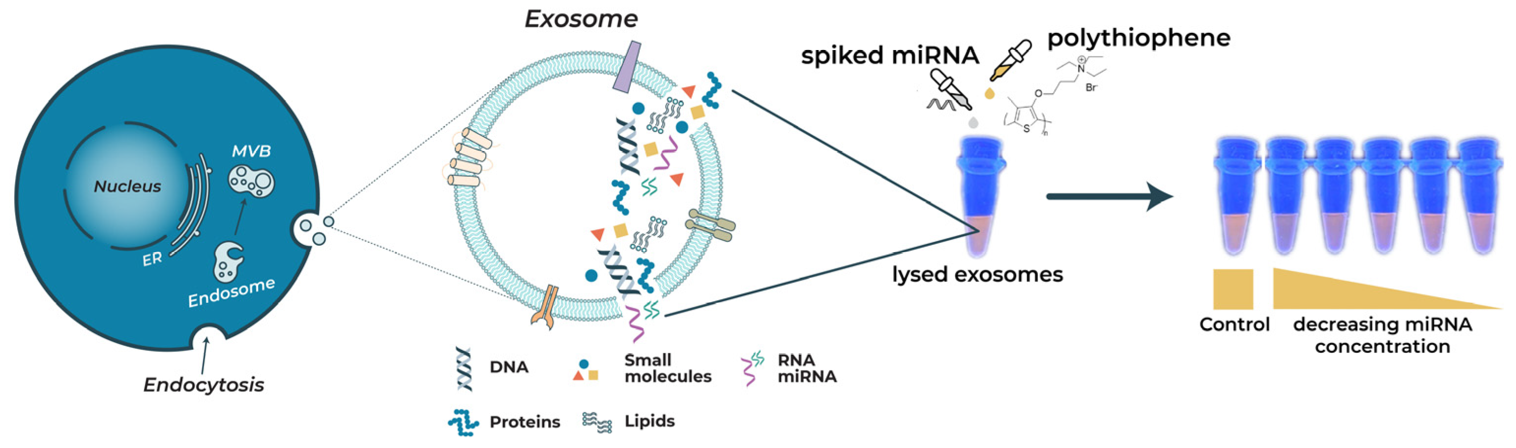 Molecules 28 01909 g001 Molecules 28 01909 g001