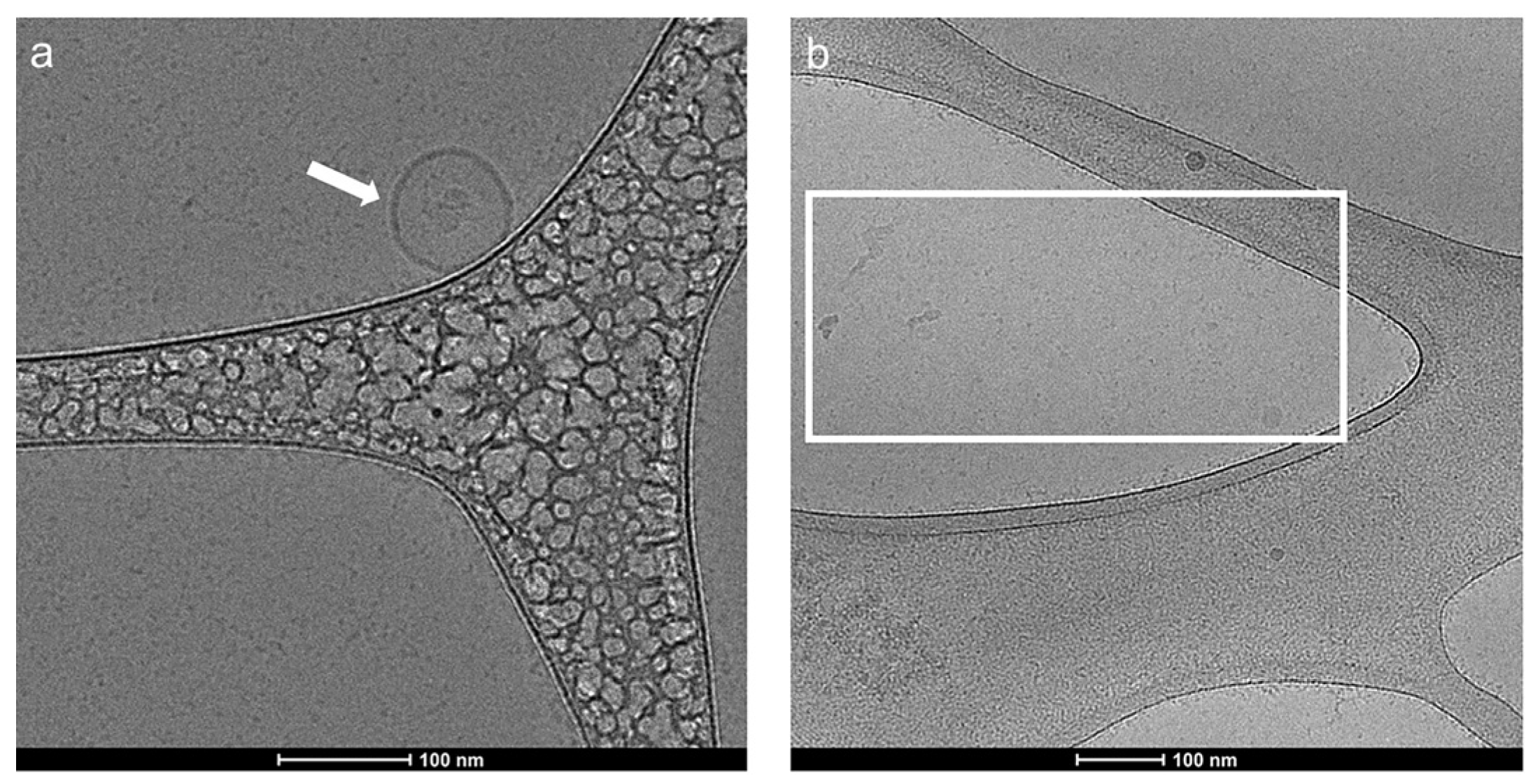 Molecules 28 01909 g002 Molecules 28 01909 g002