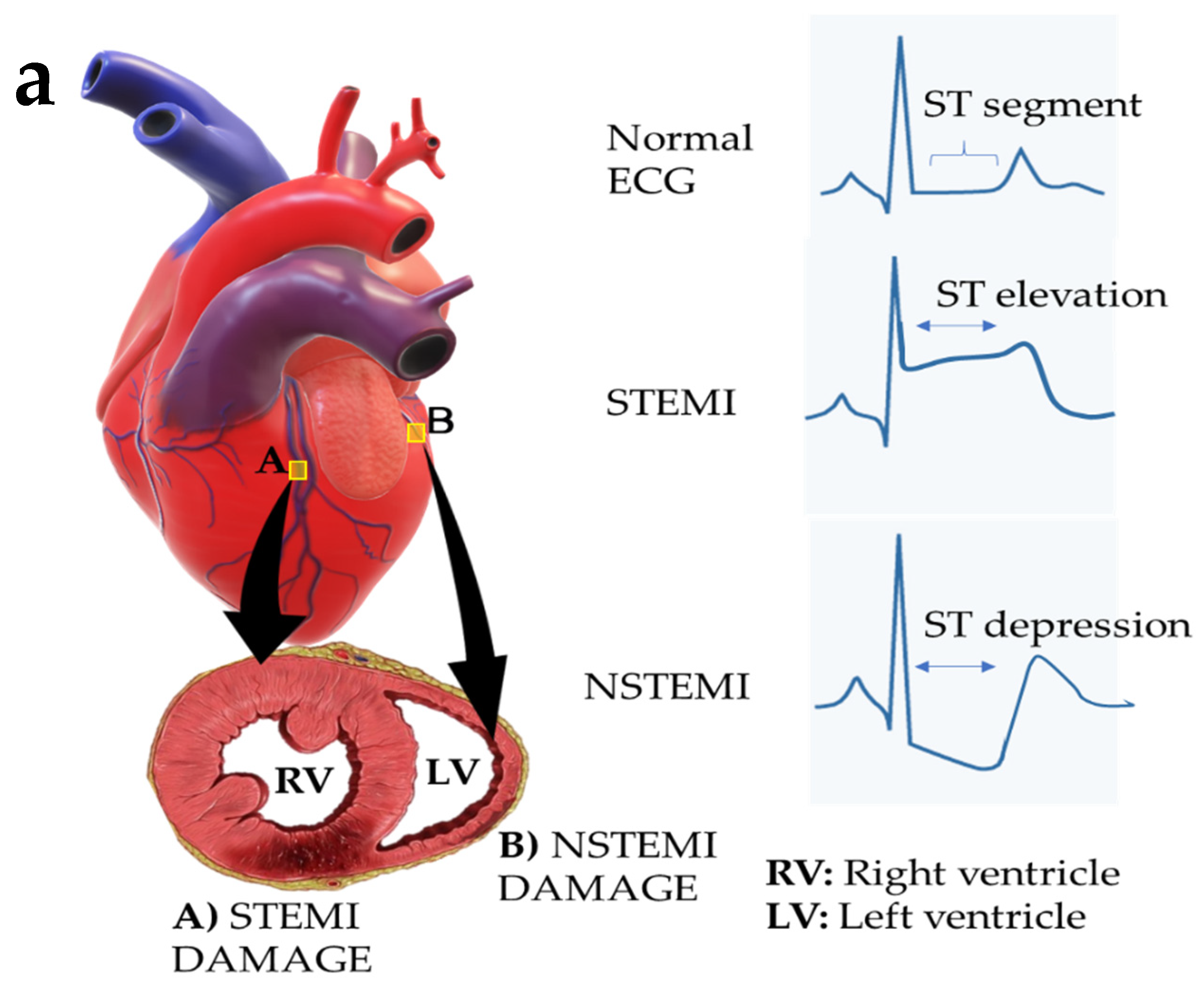 Molecules 28 01920 g002a Molecules 28 01920 g002a