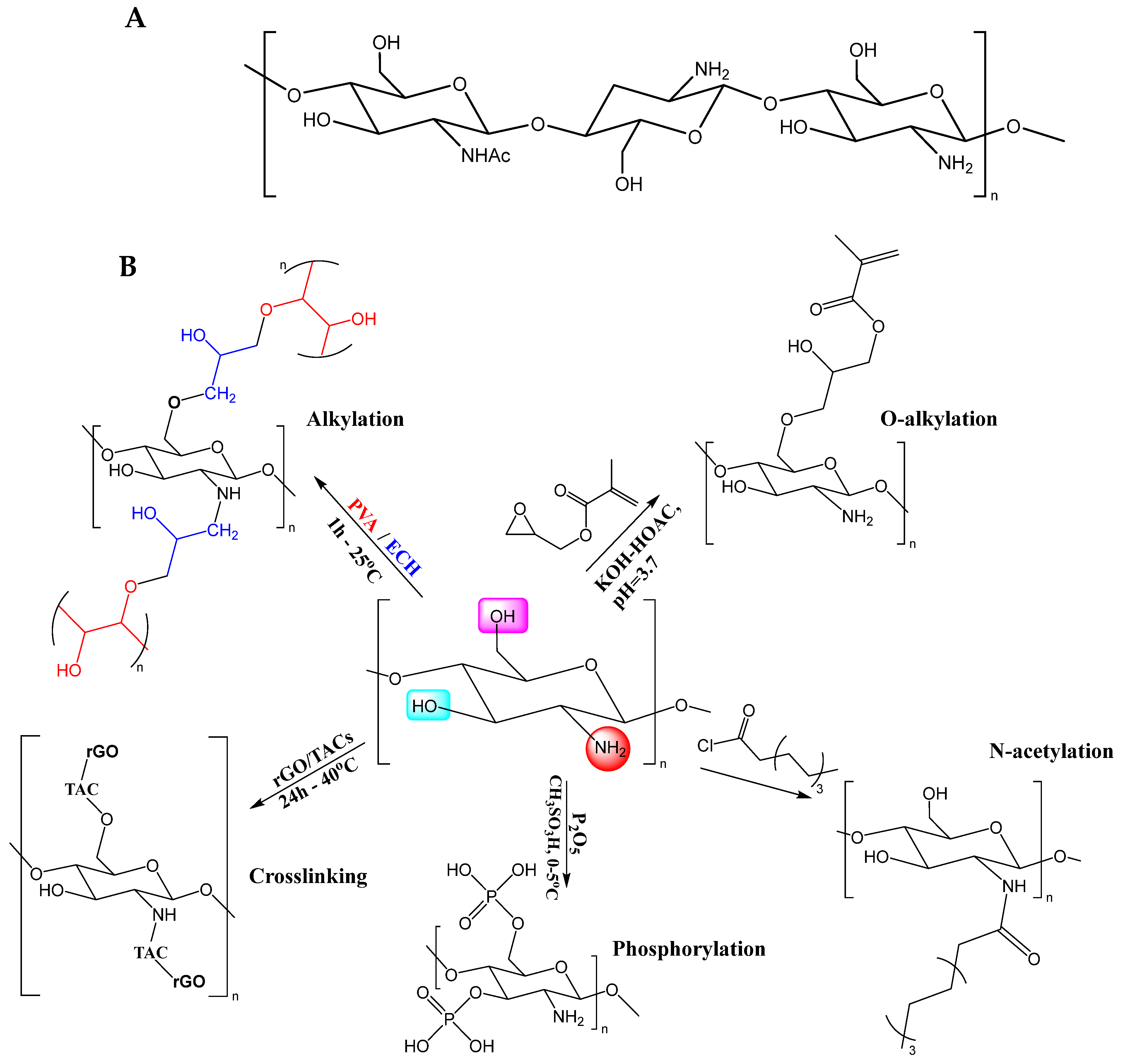 Molecules 28 01920 g003 Molecules 28 01920 g003