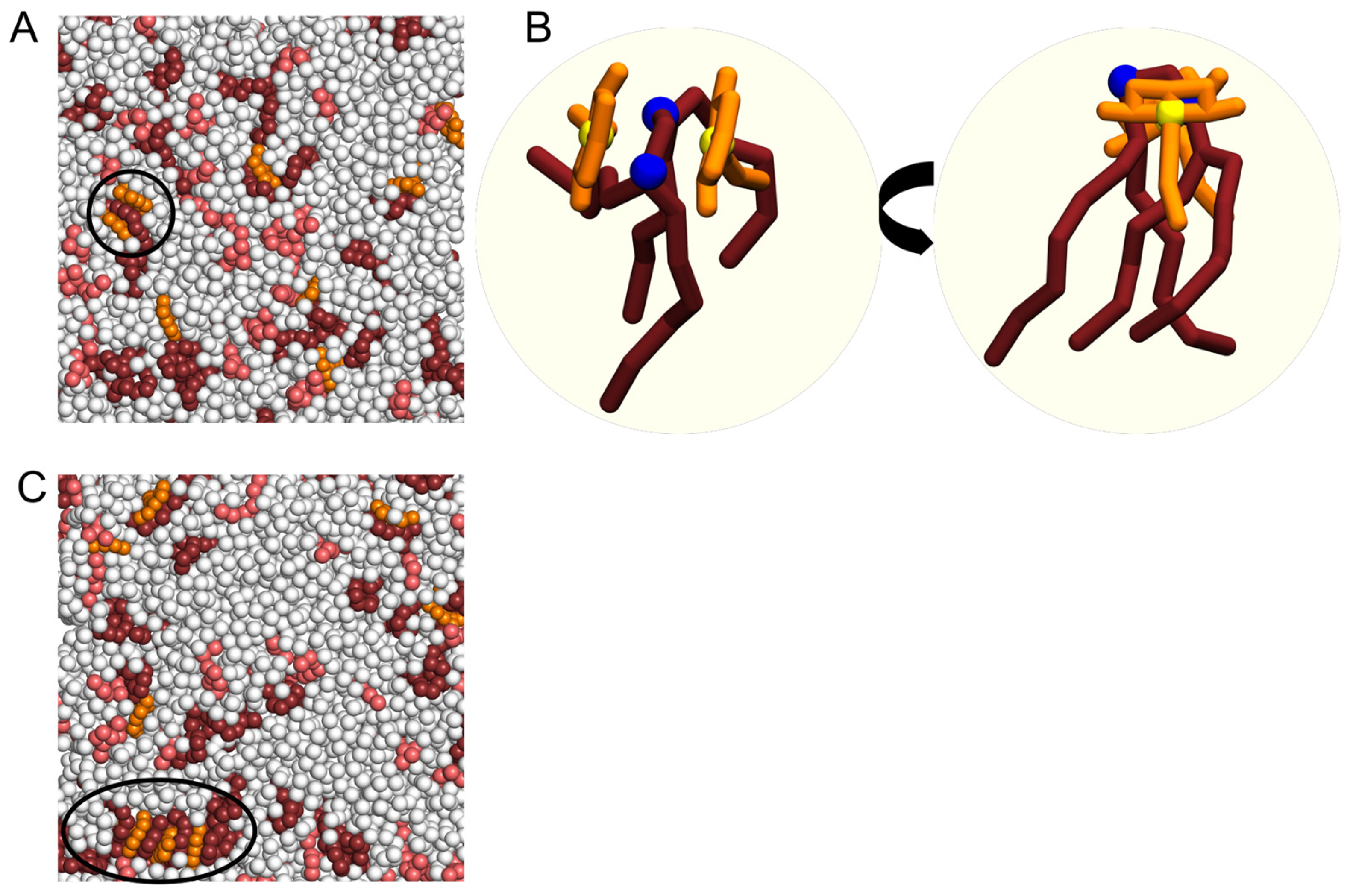 Molecules 28 01929 g006