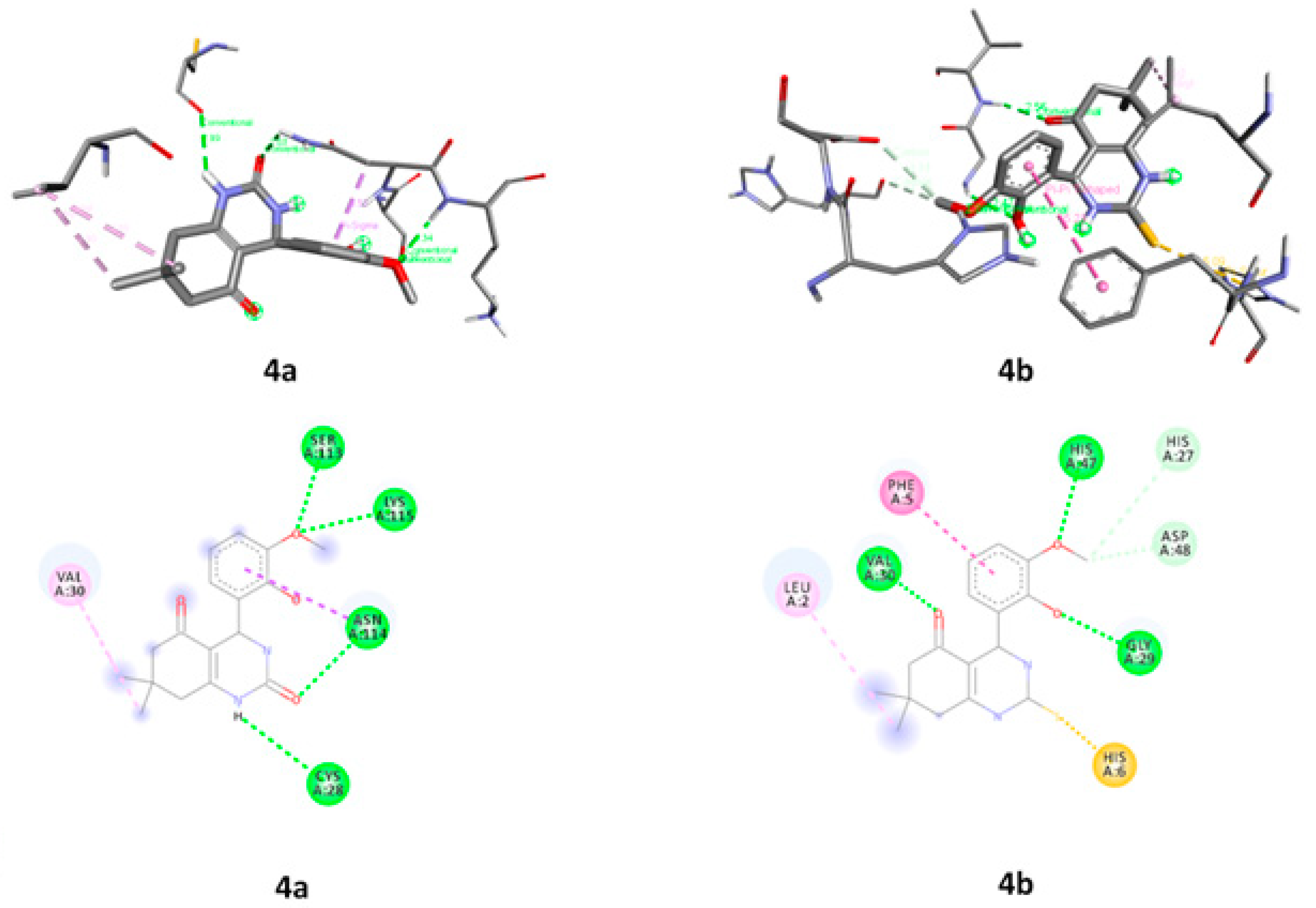 Molecules 28 01944 g009