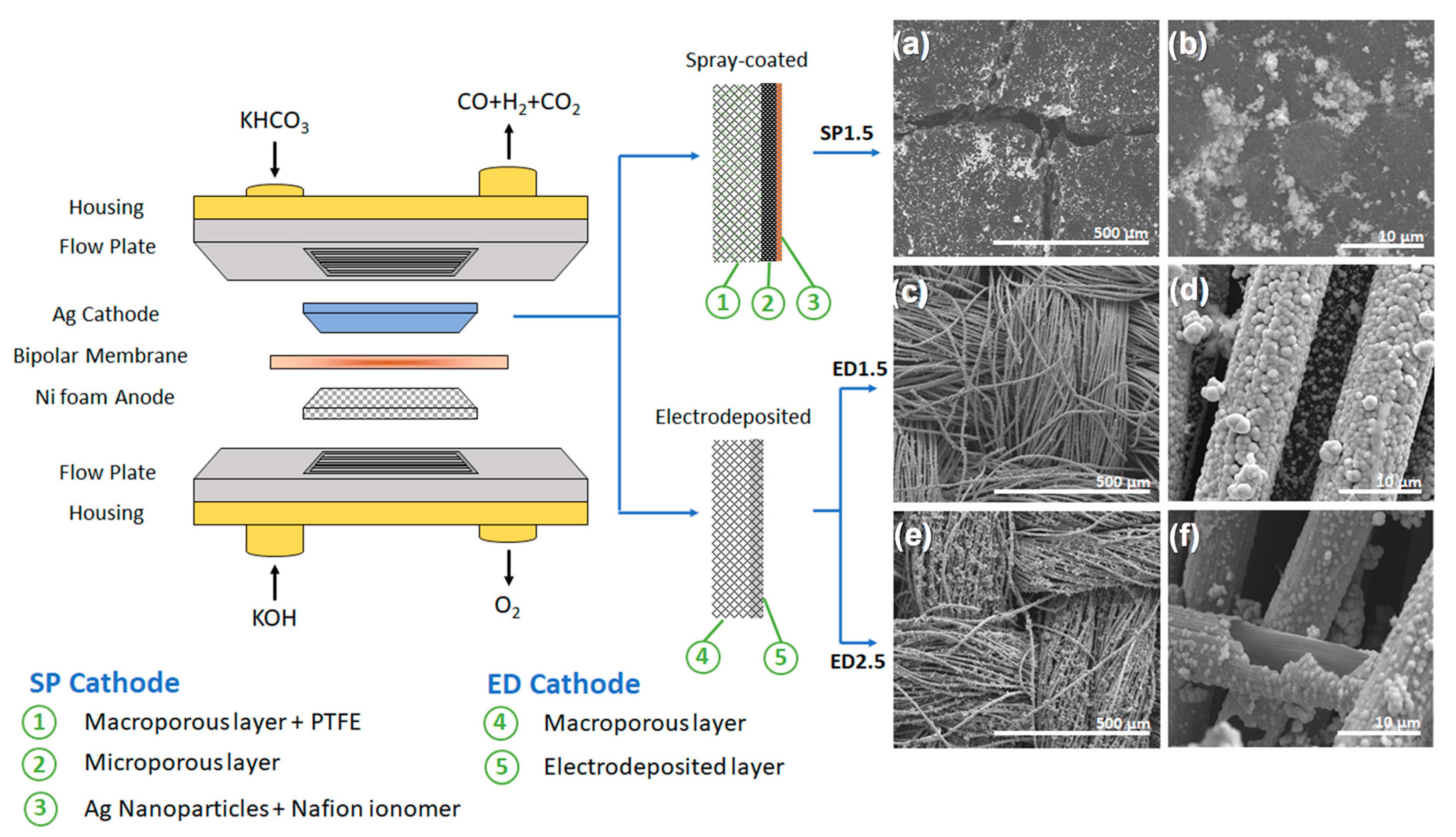 Molecules 28 01951 g001