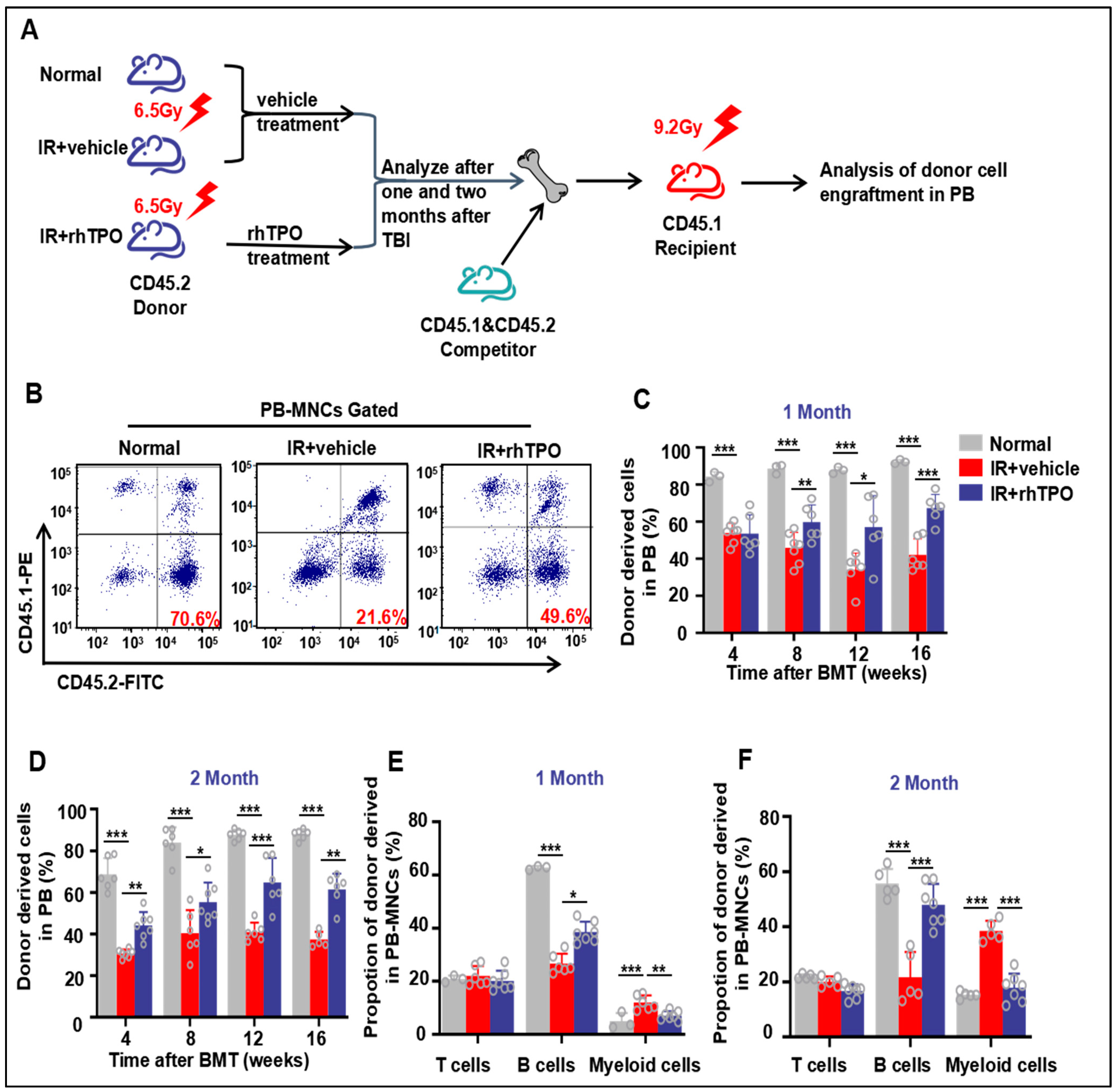 Molecules 28 01953 g003 Molecules 28 01953 g003