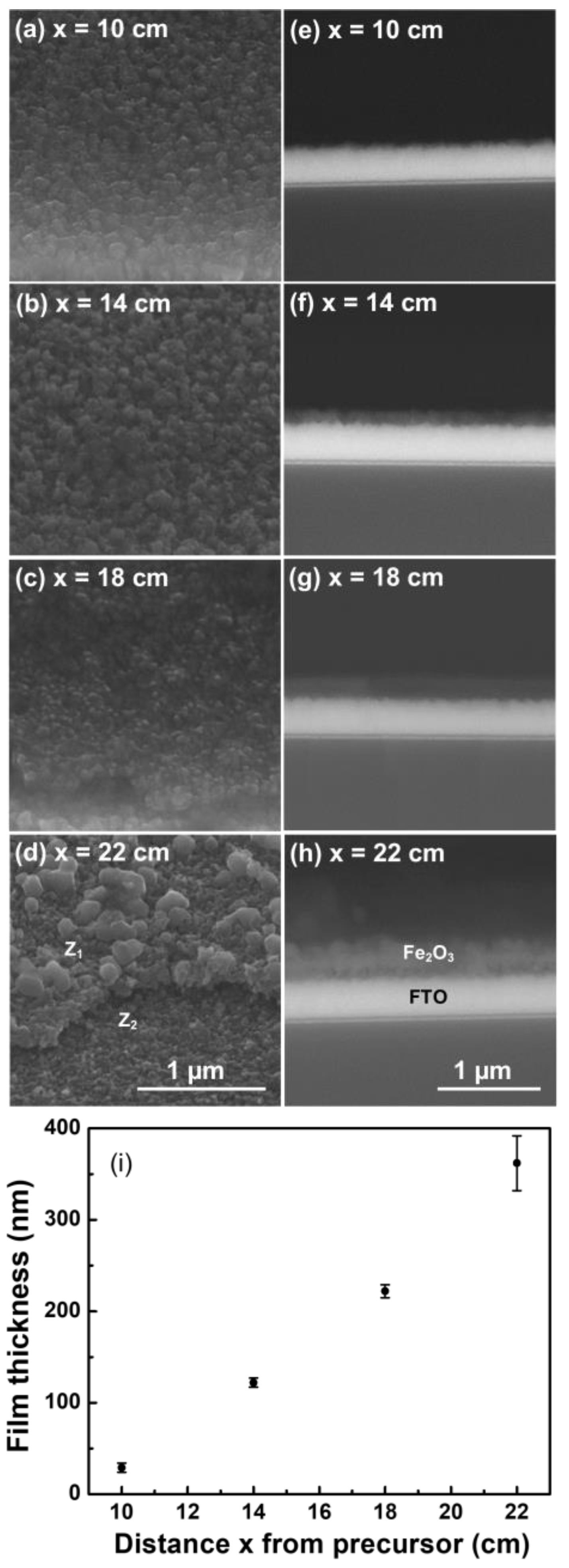 Molecules 28 01954 g002