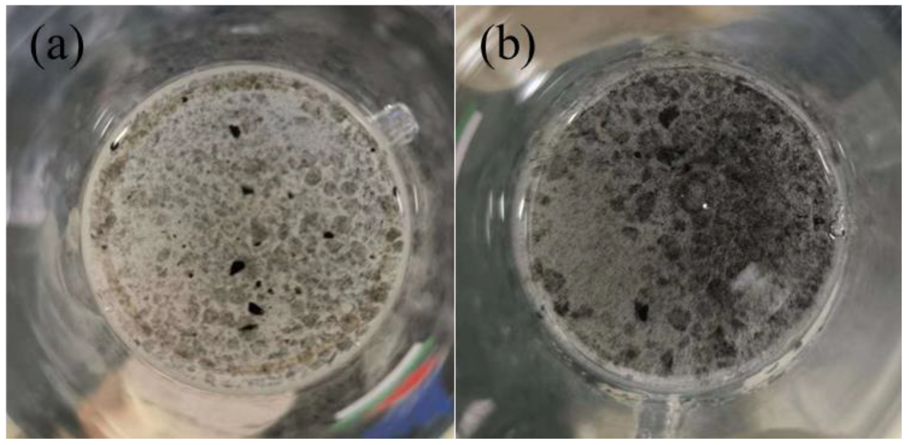 Molecules 28 01960 g005