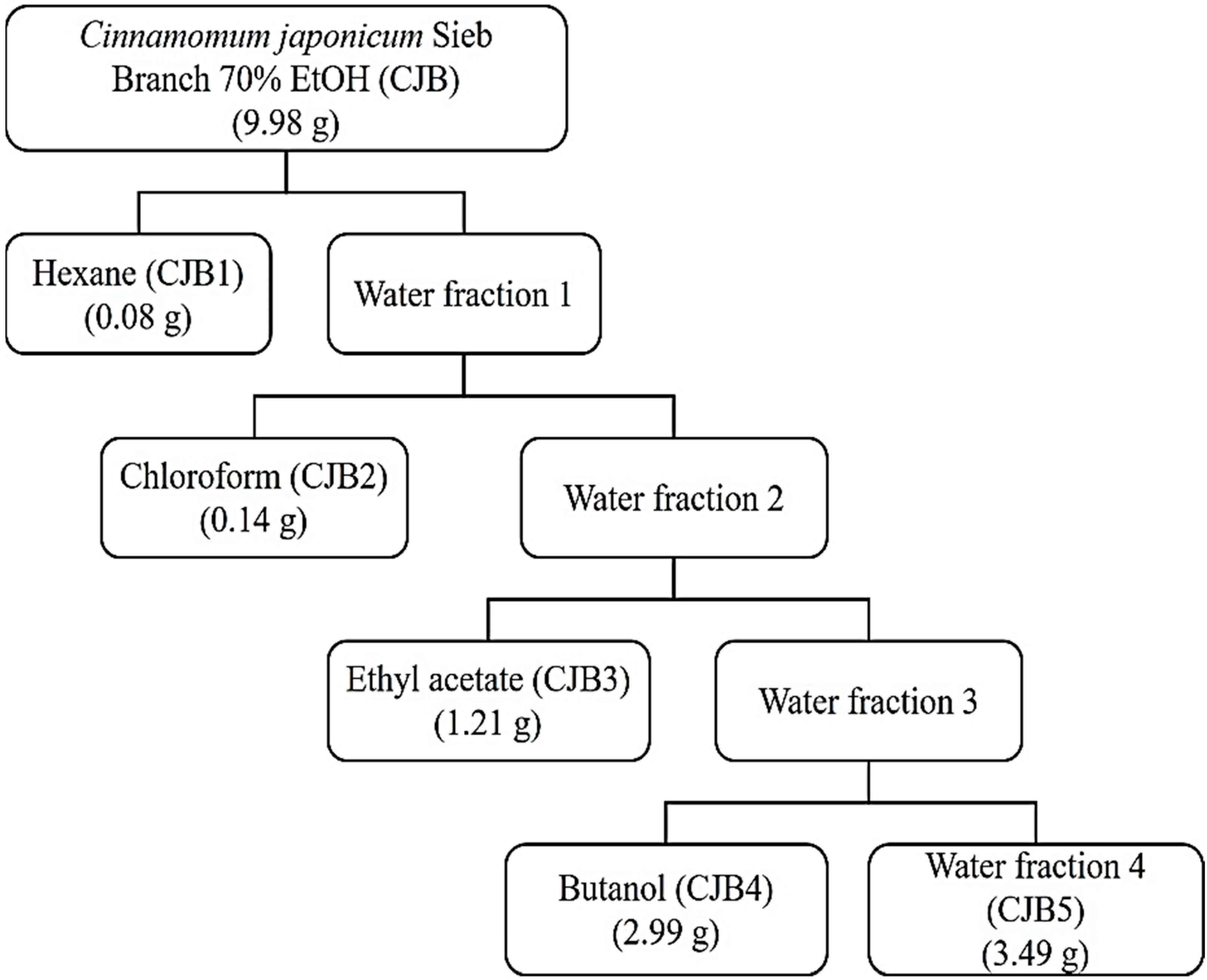 Molecules 28 01974 g001 Molecules 28 01974 g001