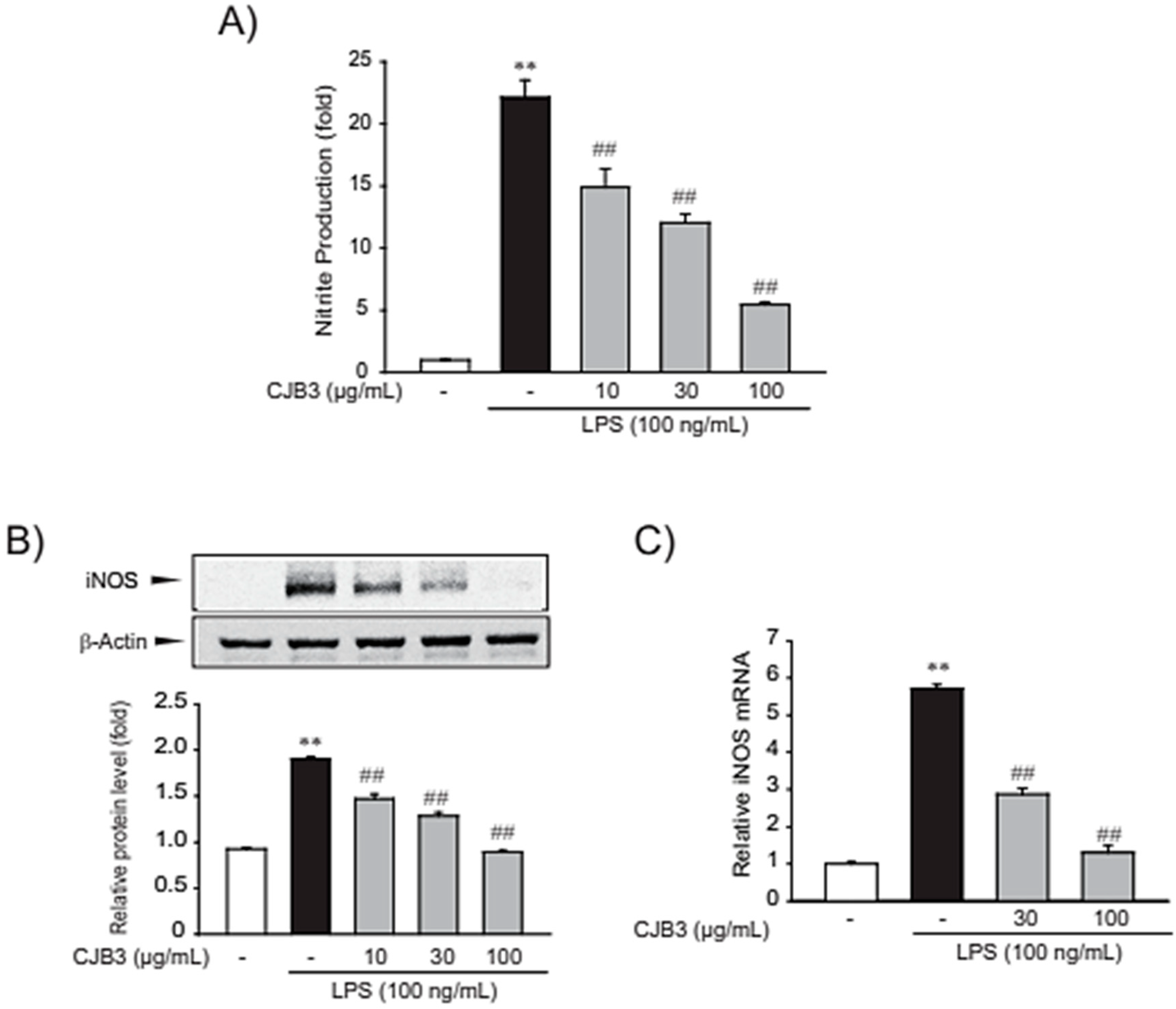 Molecules 28 01974 g005 Molecules 28 01974 g005