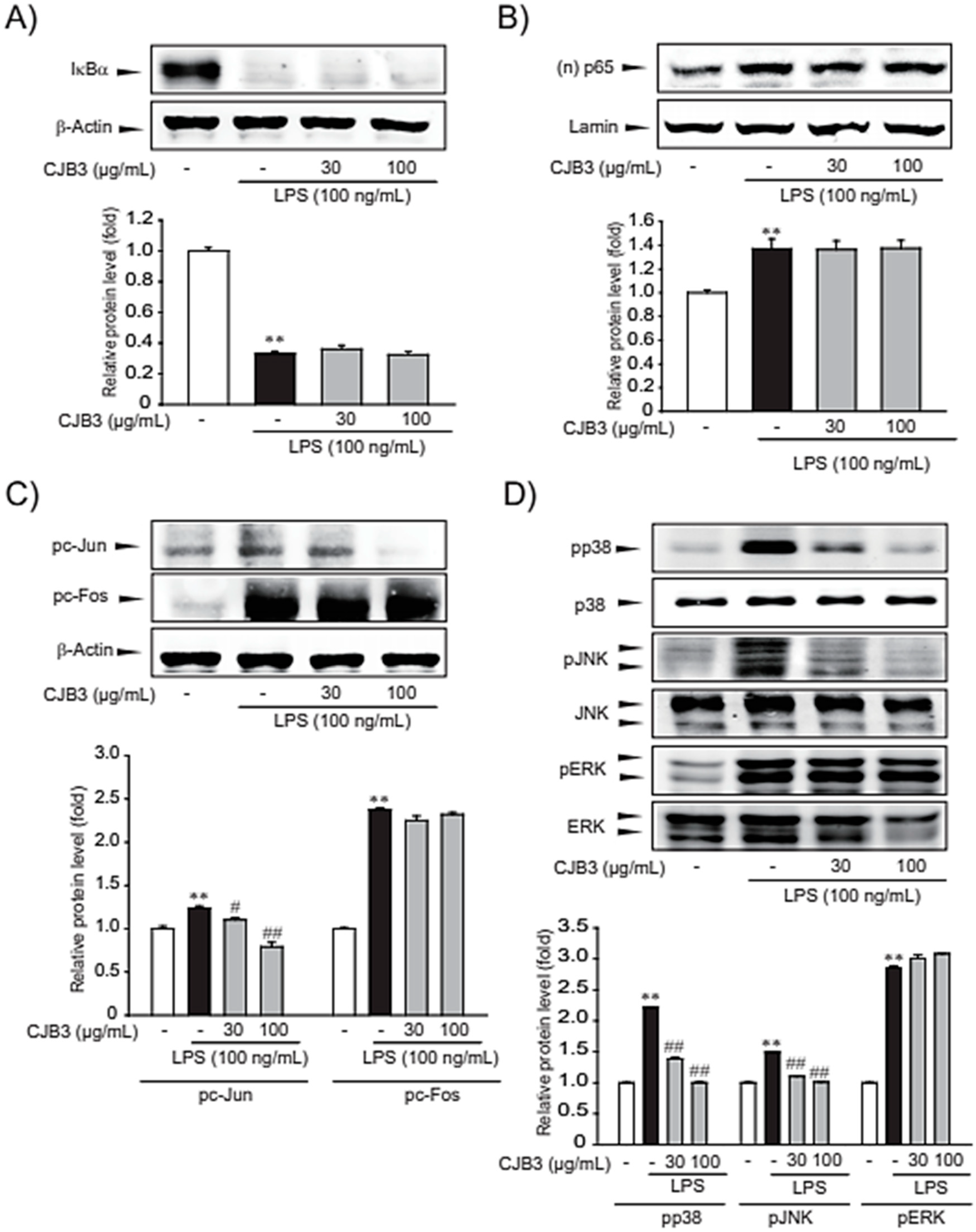 Molecules 28 01974 g007 Molecules 28 01974 g007