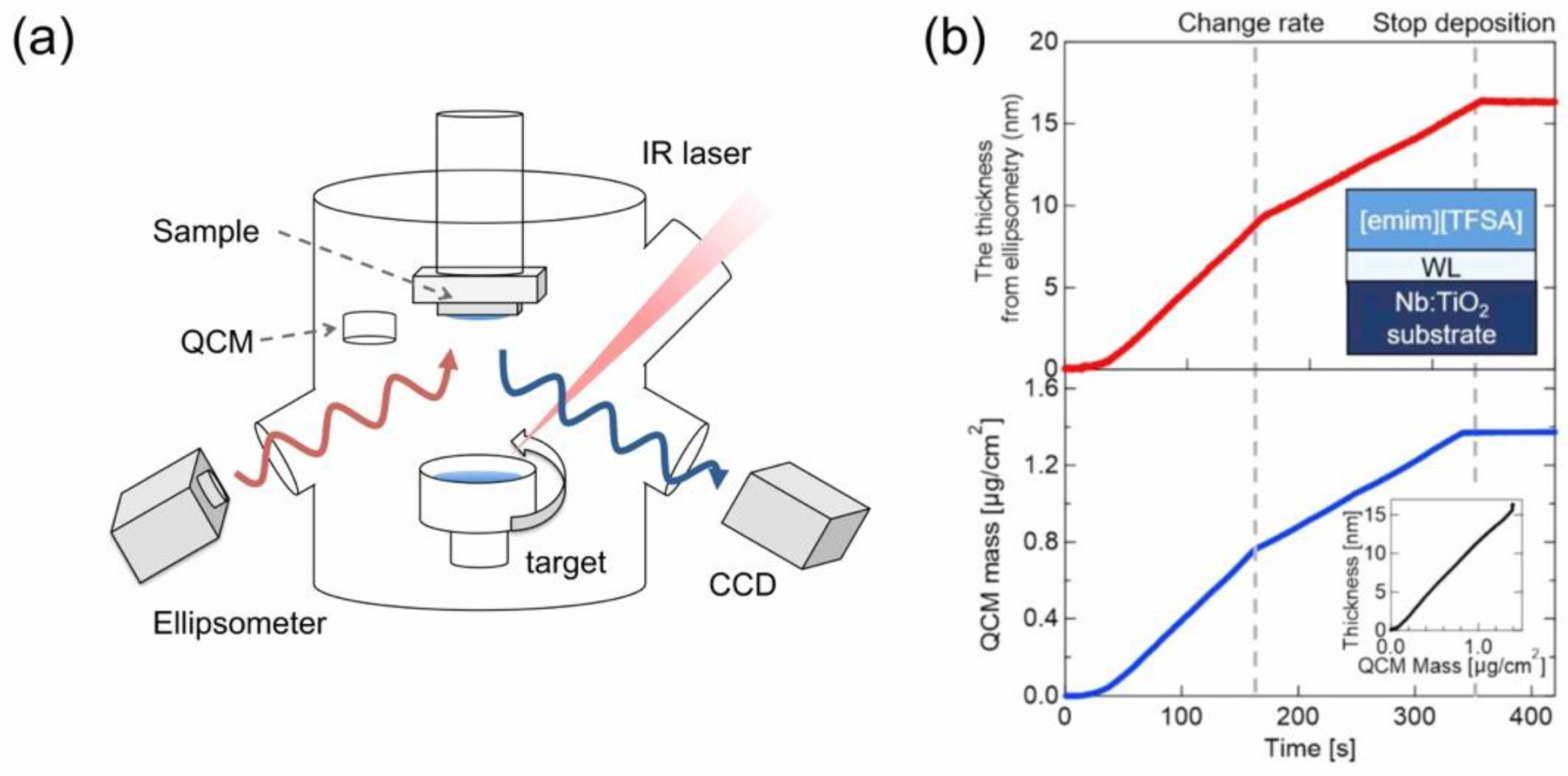 Molecules 28 01991 g001 Molecules 28 01991 g001