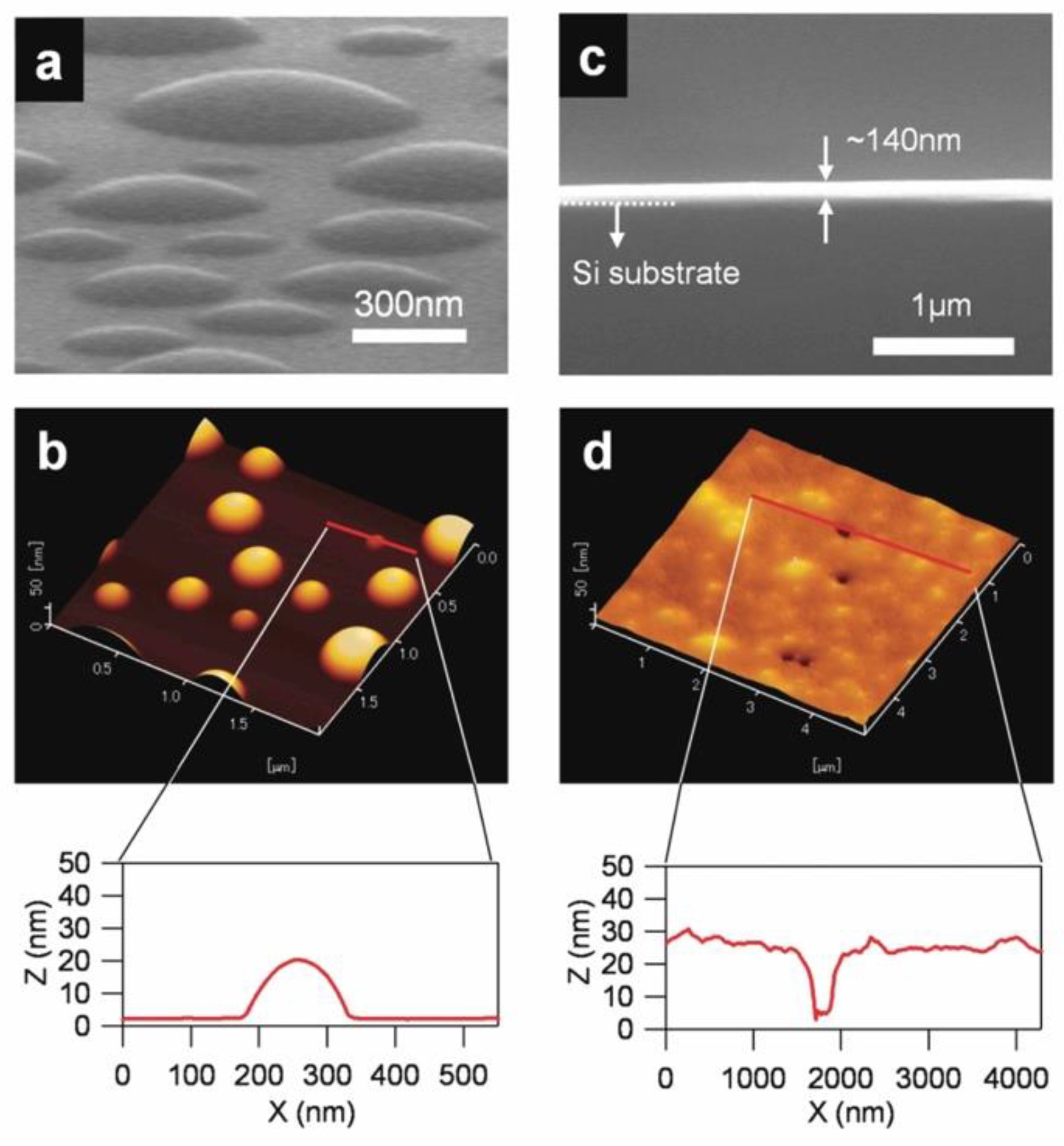 Molecules 28 01991 g003 Molecules 28 01991 g003